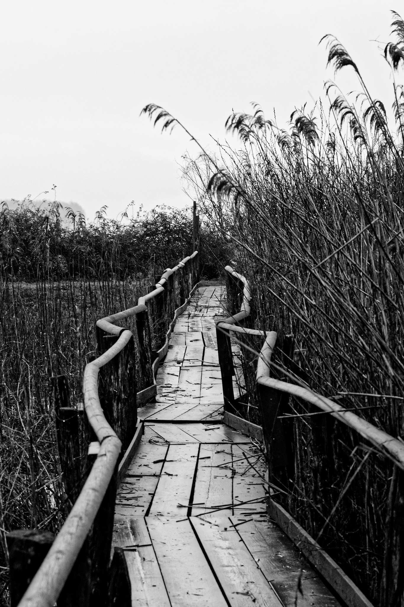 Walking on a very stable jetty