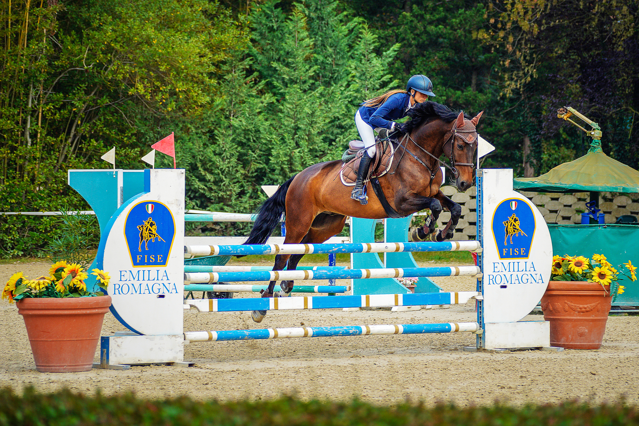 CERVIA "LE SCIEPI" cat. 4 years old