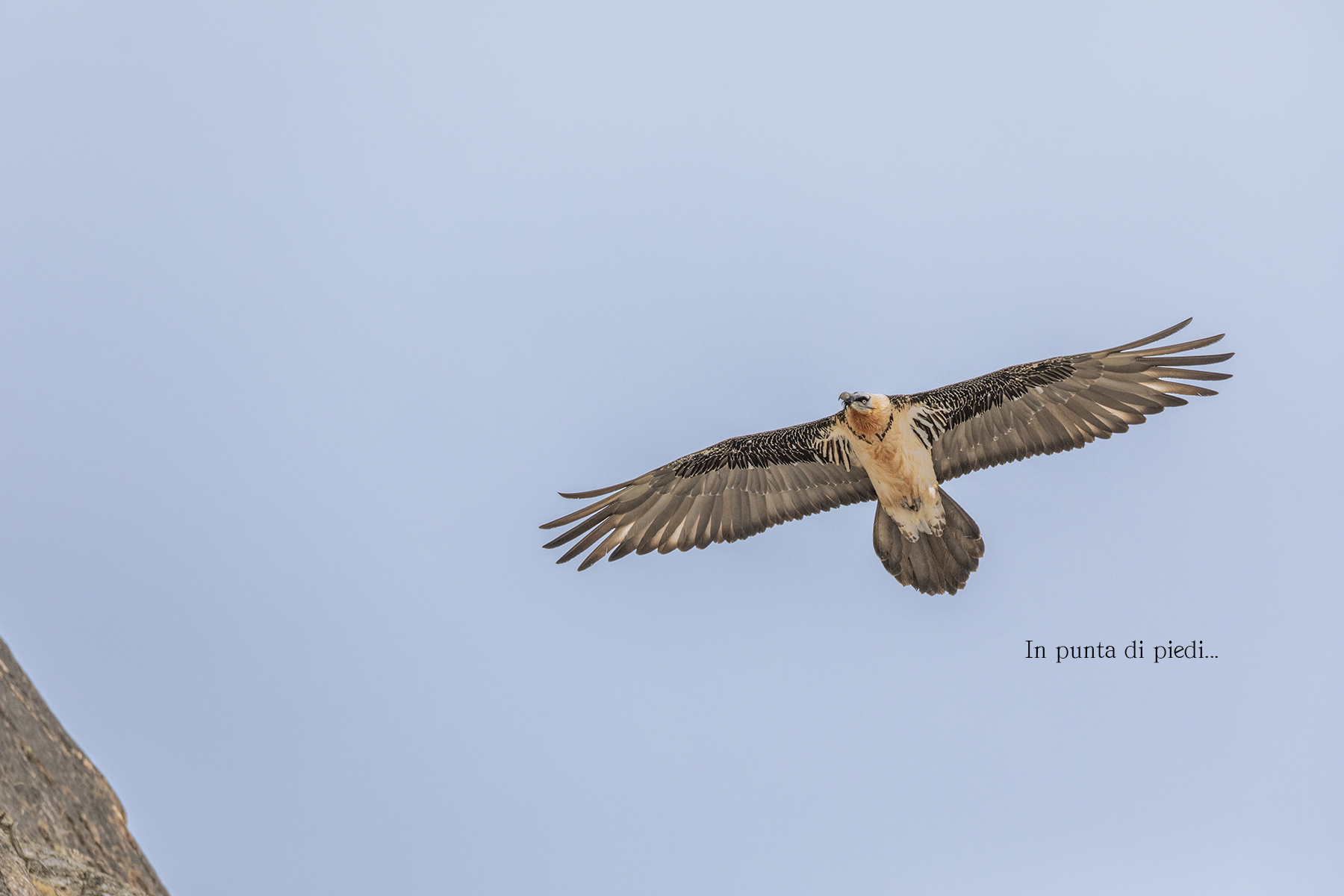 Mi lancia uno sguardo...