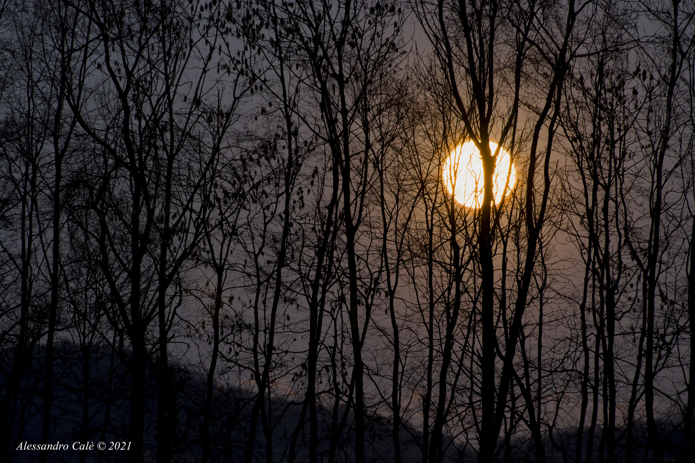 Spunta la luna dal monte 8540