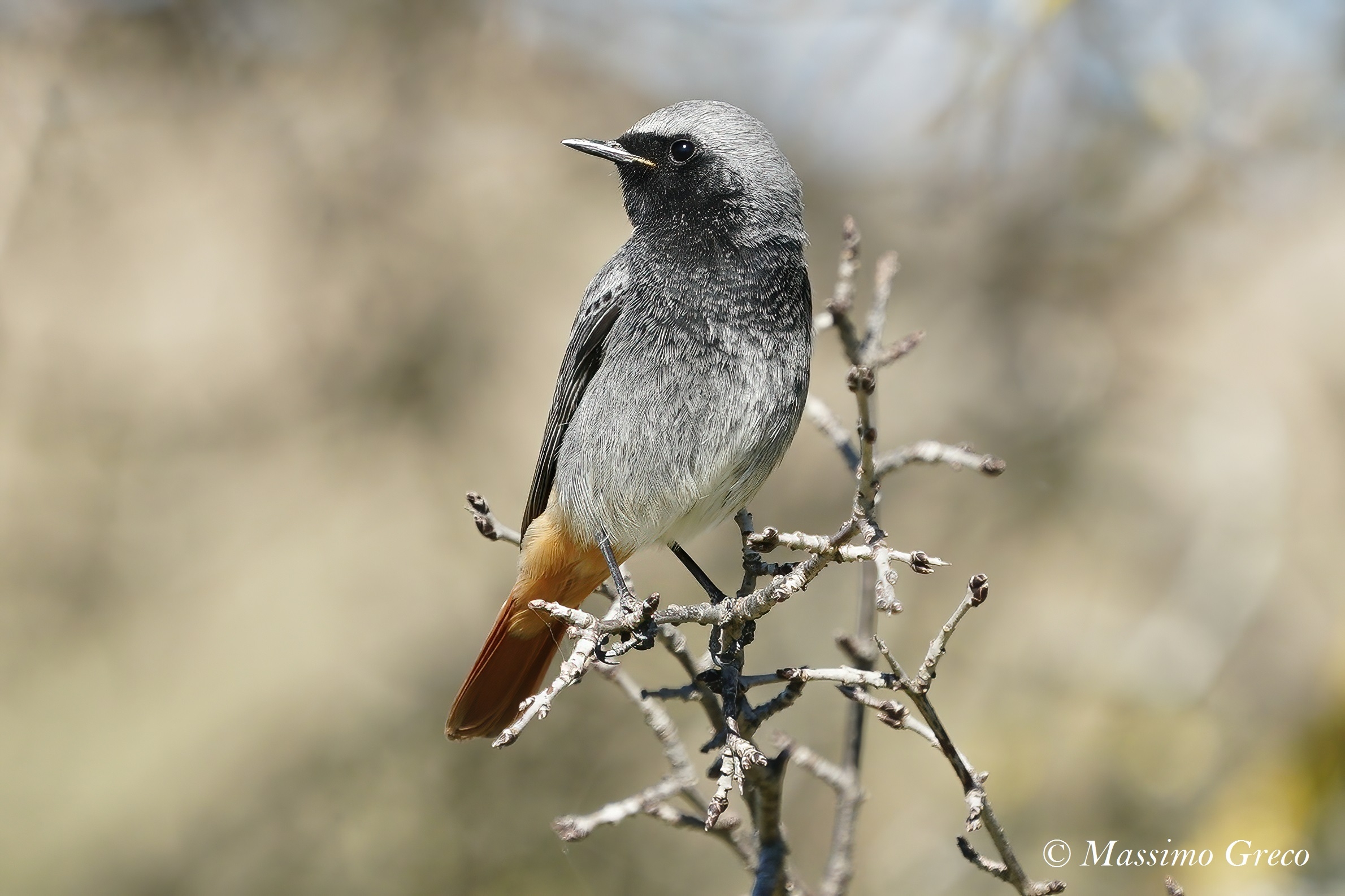 Coirosso fireplace sweep