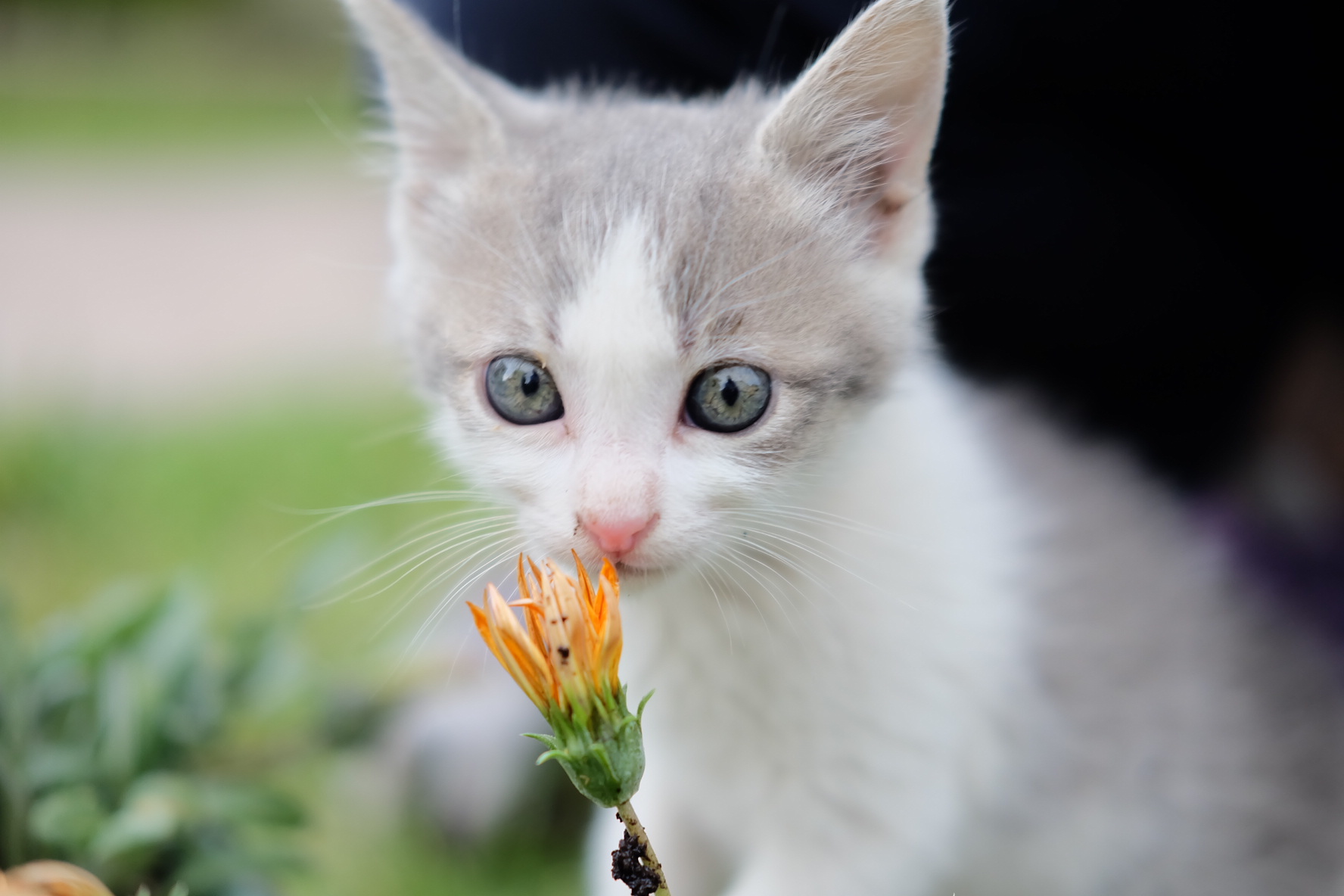 Il profumo della primavera