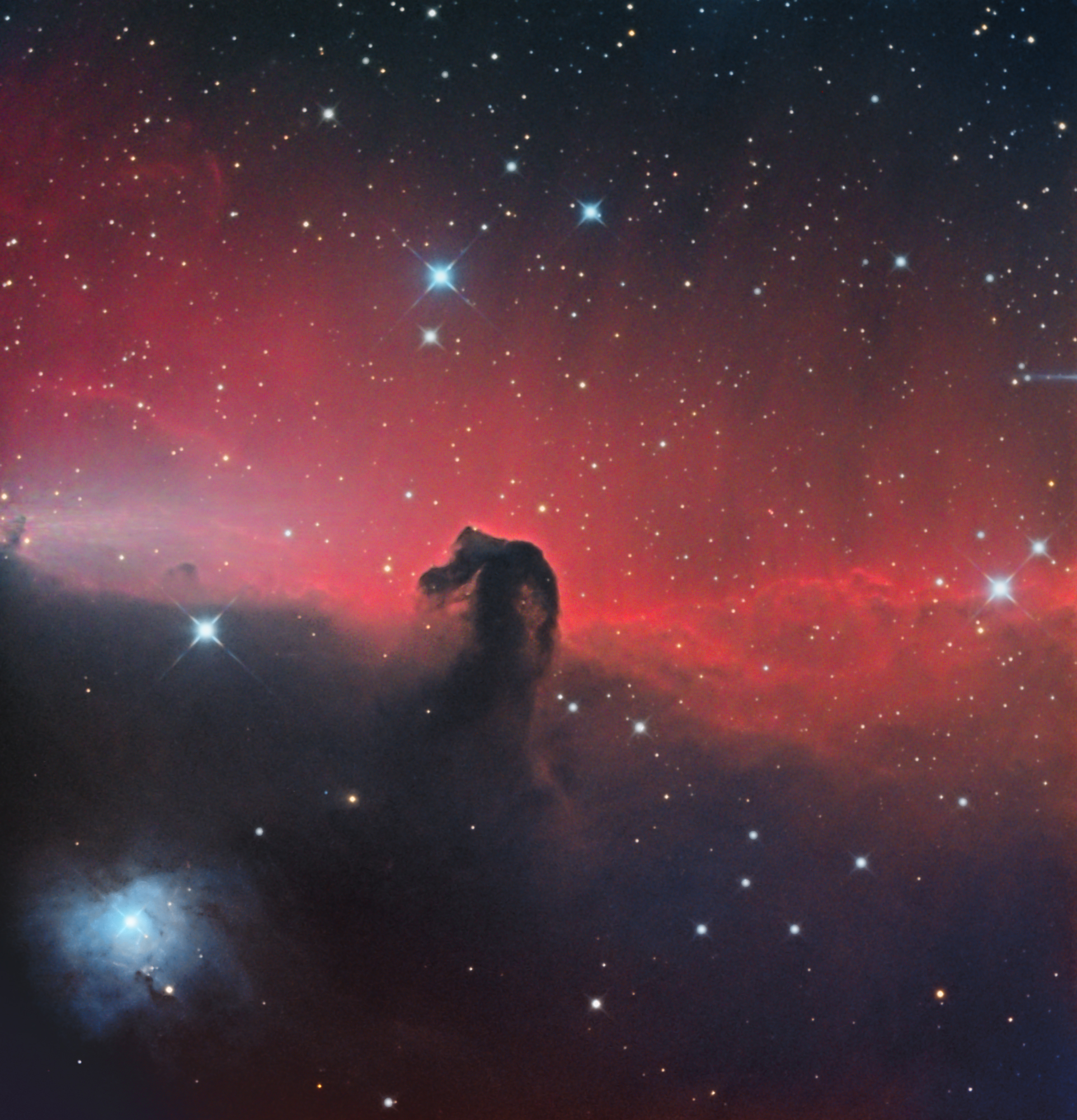 Nebulosa Testa di Cavallo