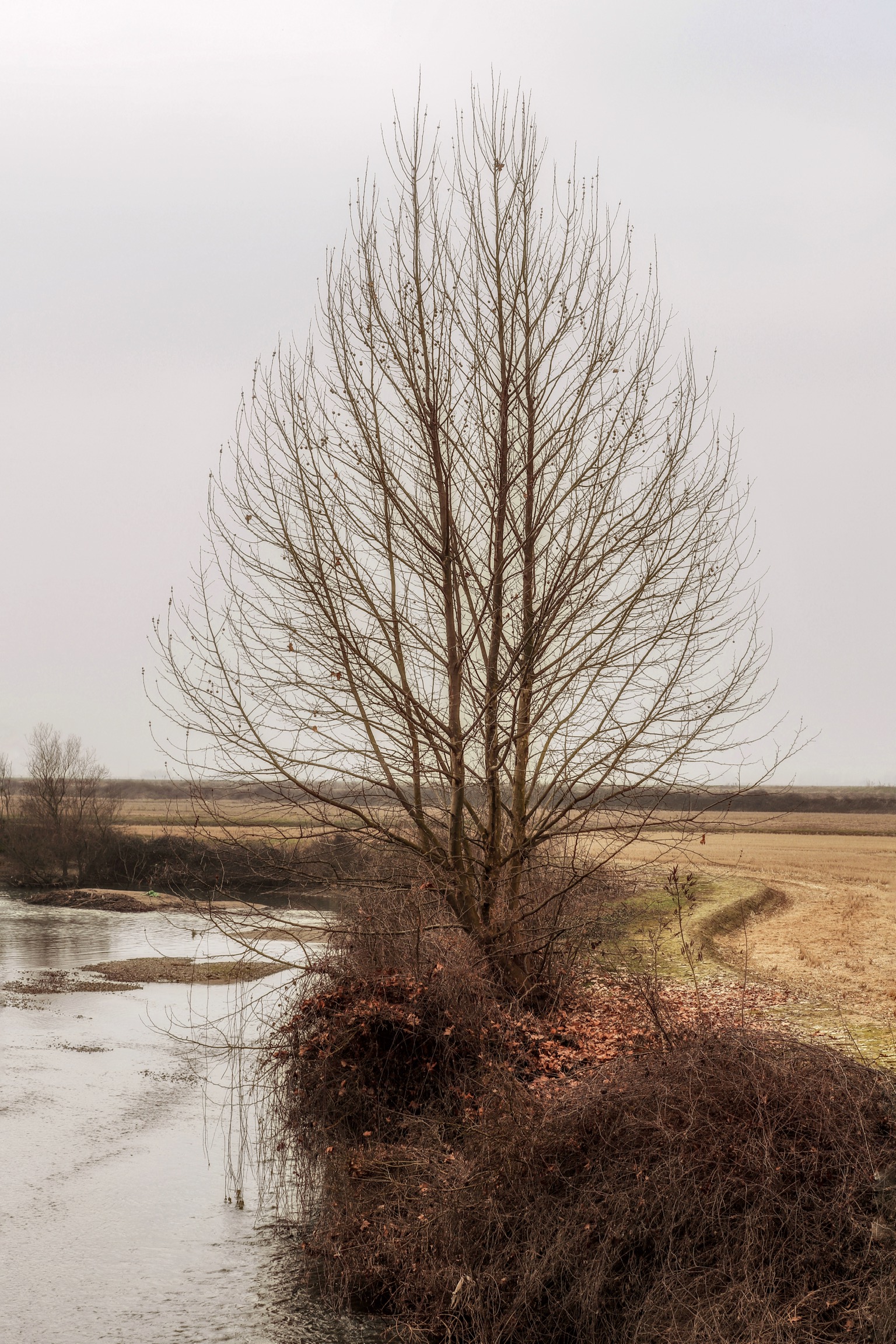 Lungo il torrente Marcova