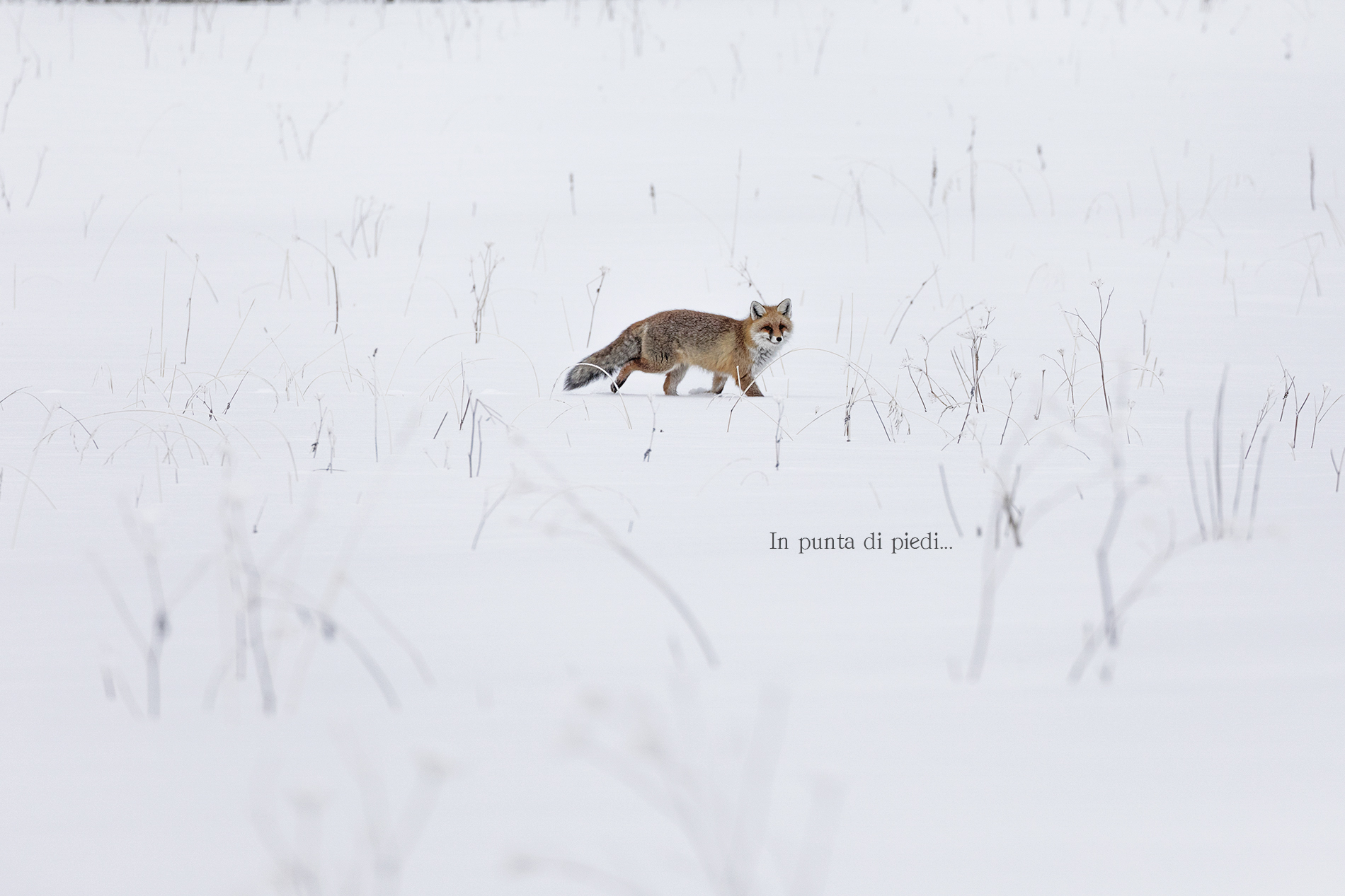 Don't break Eye contact...