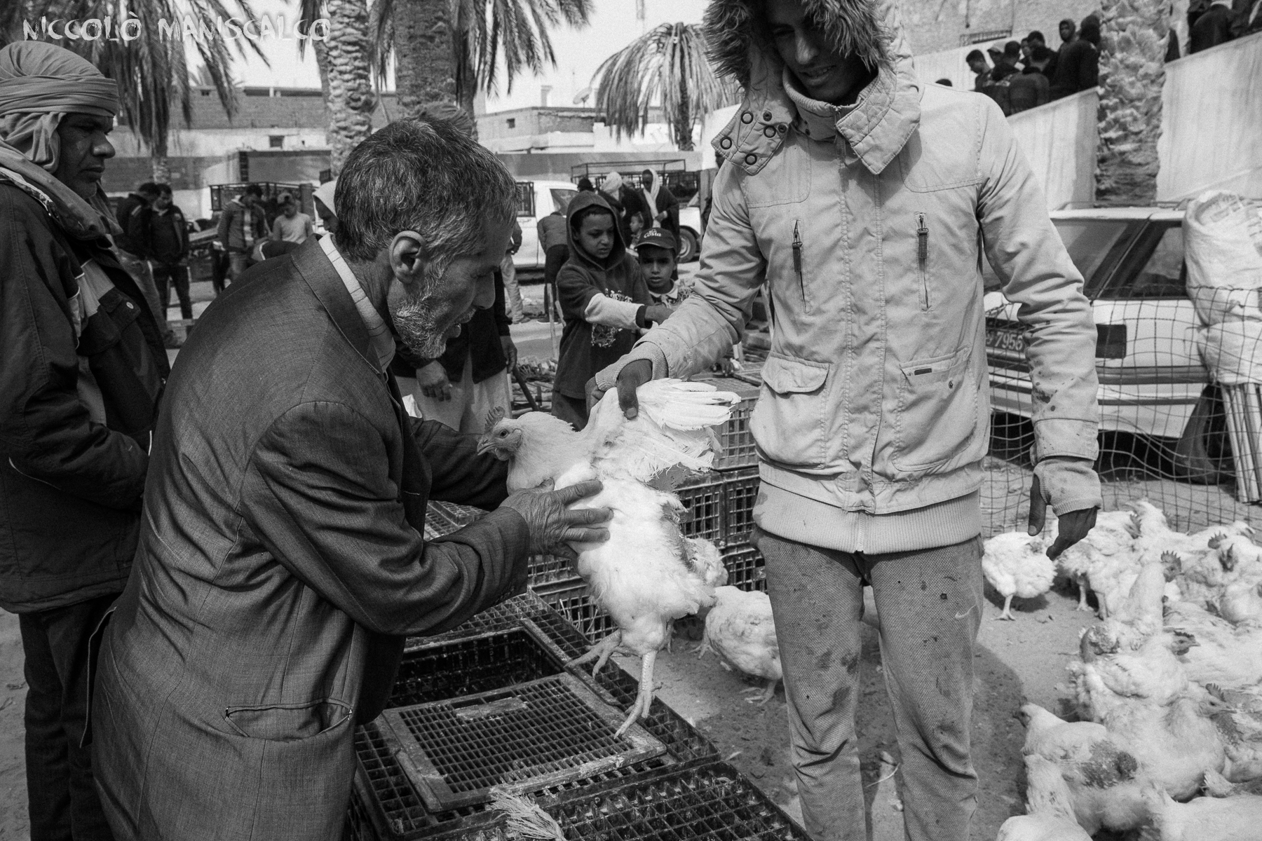 Alle porte del deserto, nel mercato di Douz
