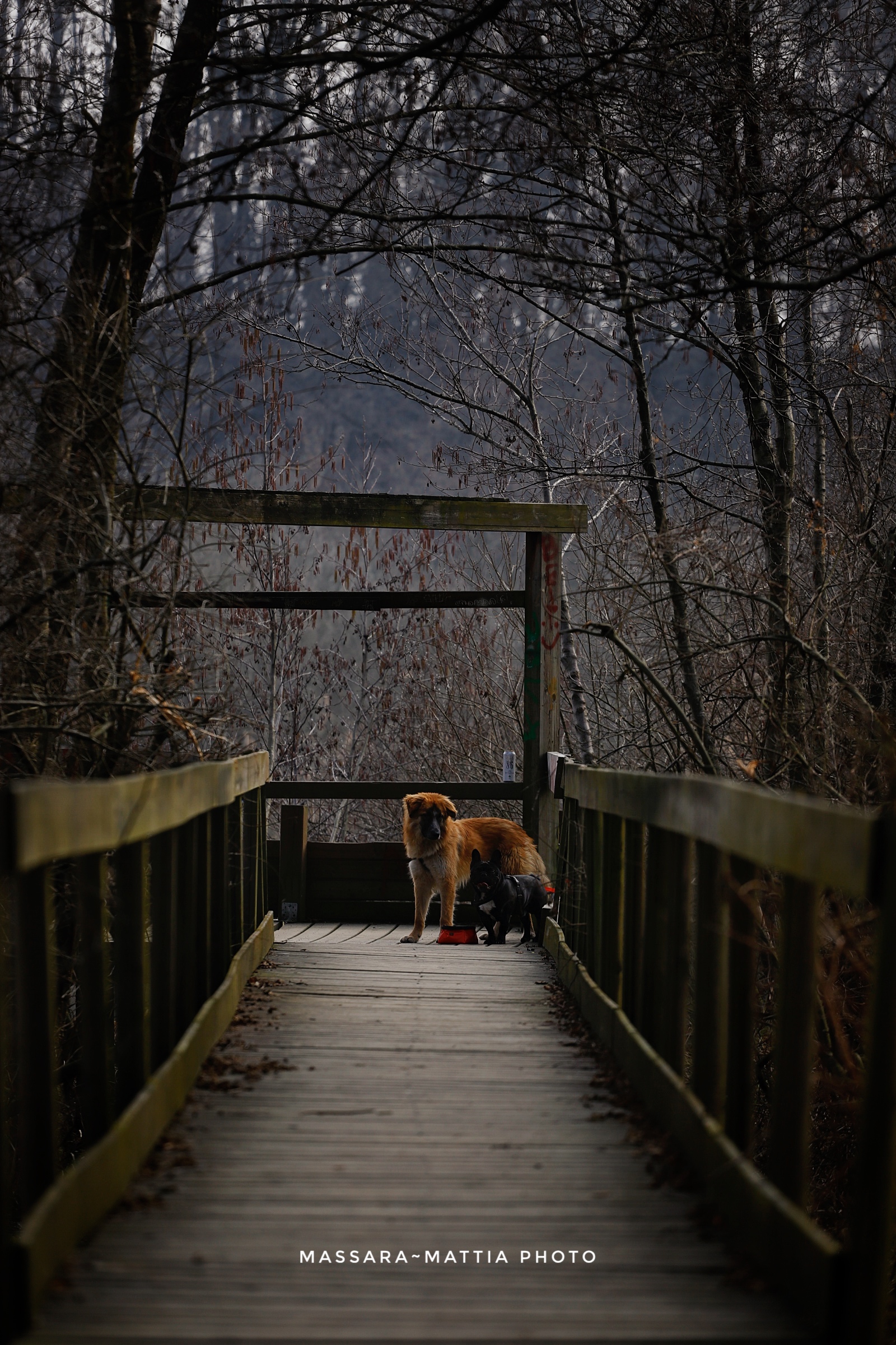 Momento pappa interrotto..