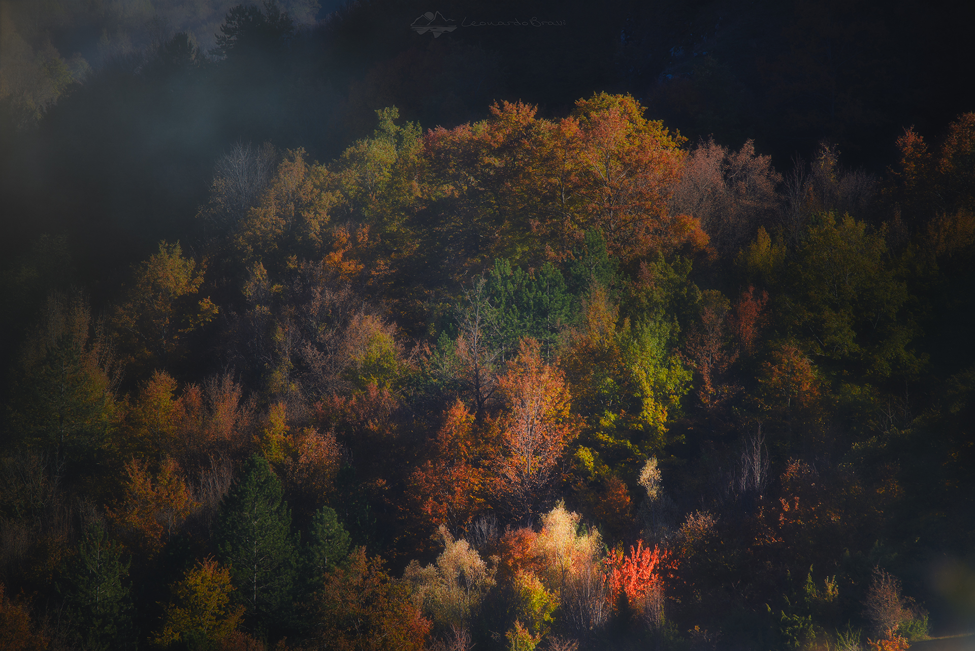 Autumn explosions