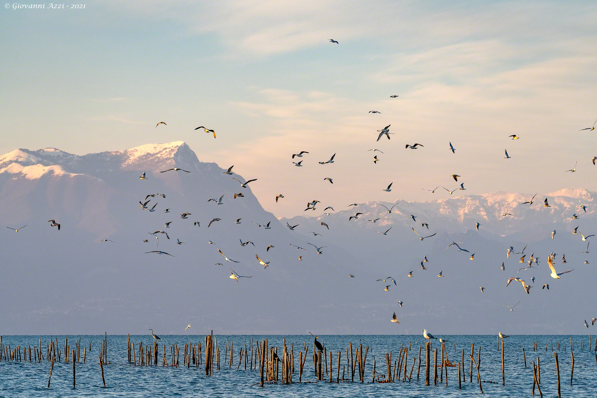 Volando al tramonto 2