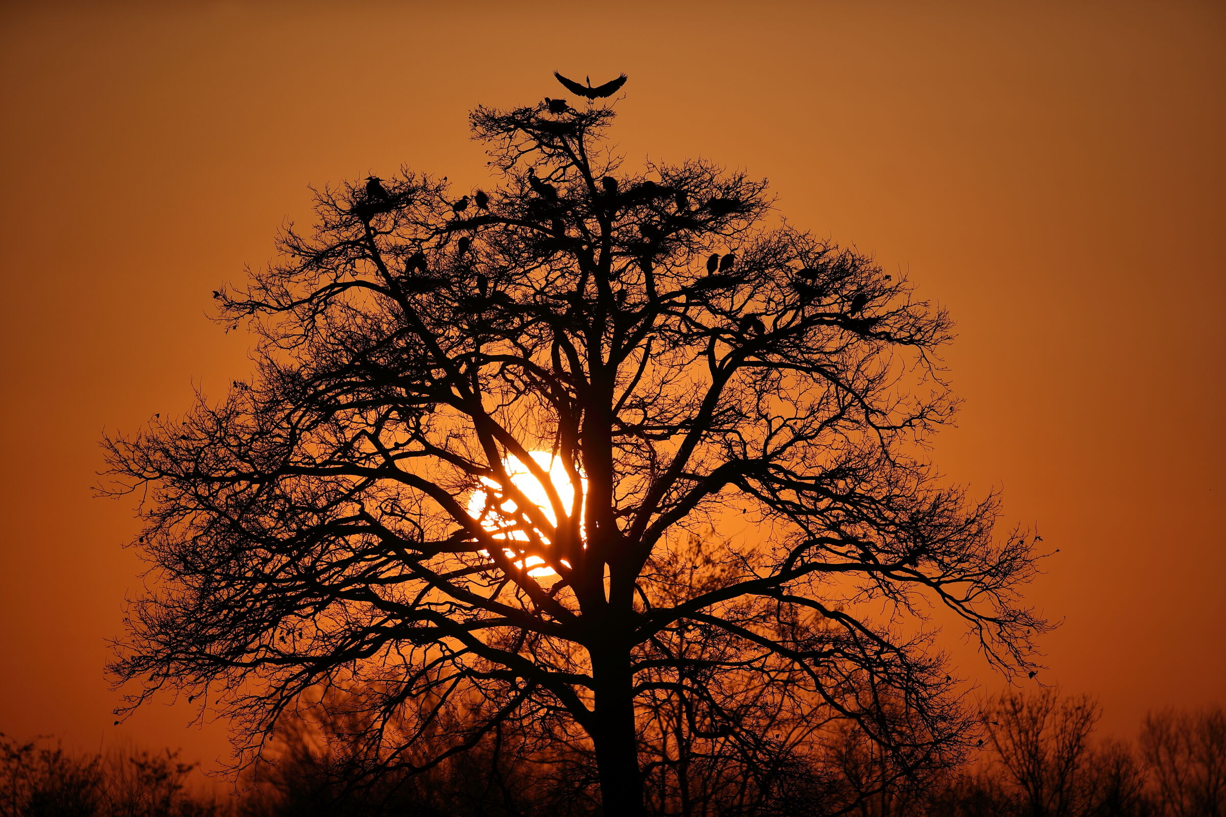 Tramonto Africano