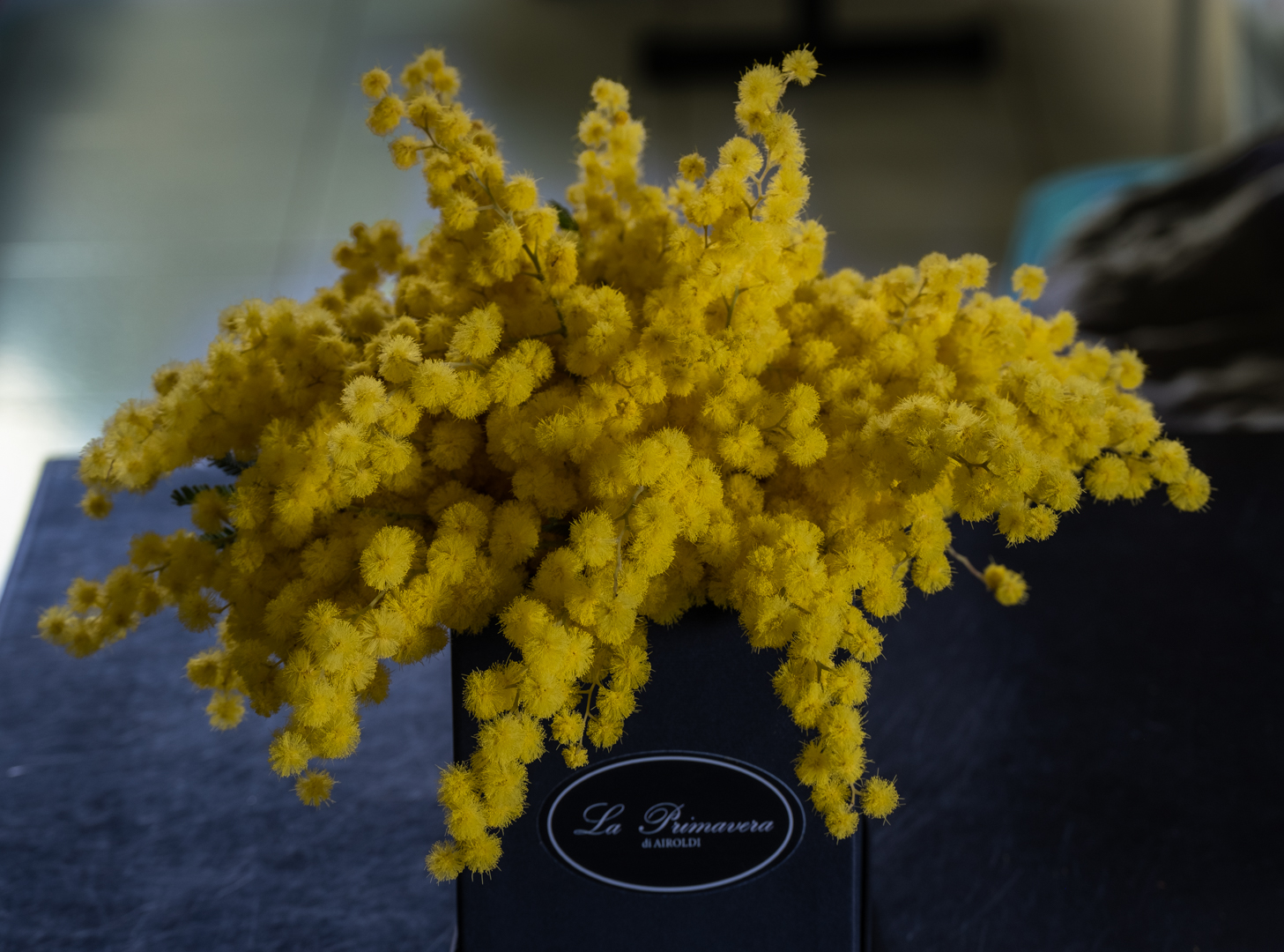 Auguri a tutte le Donne