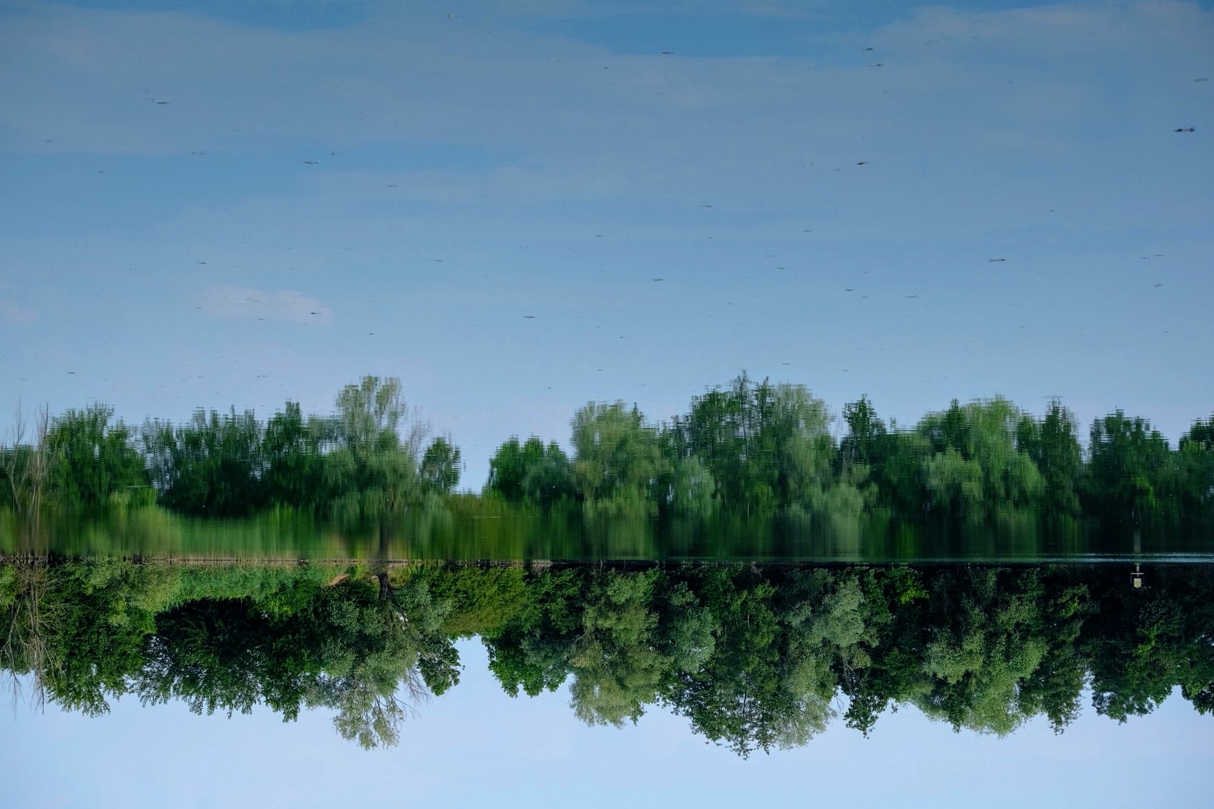 Il cielo è quello più blù...