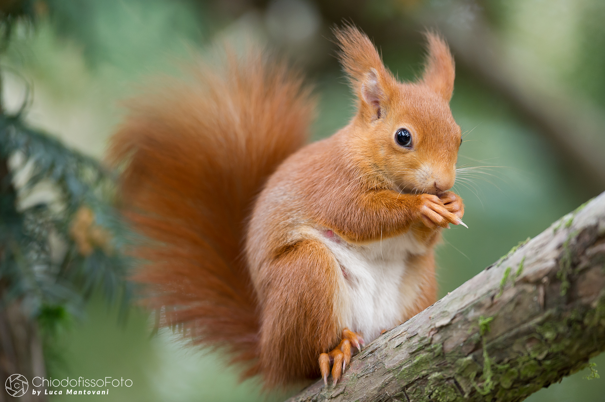 Sono un po' timida, ma sono carina vero?