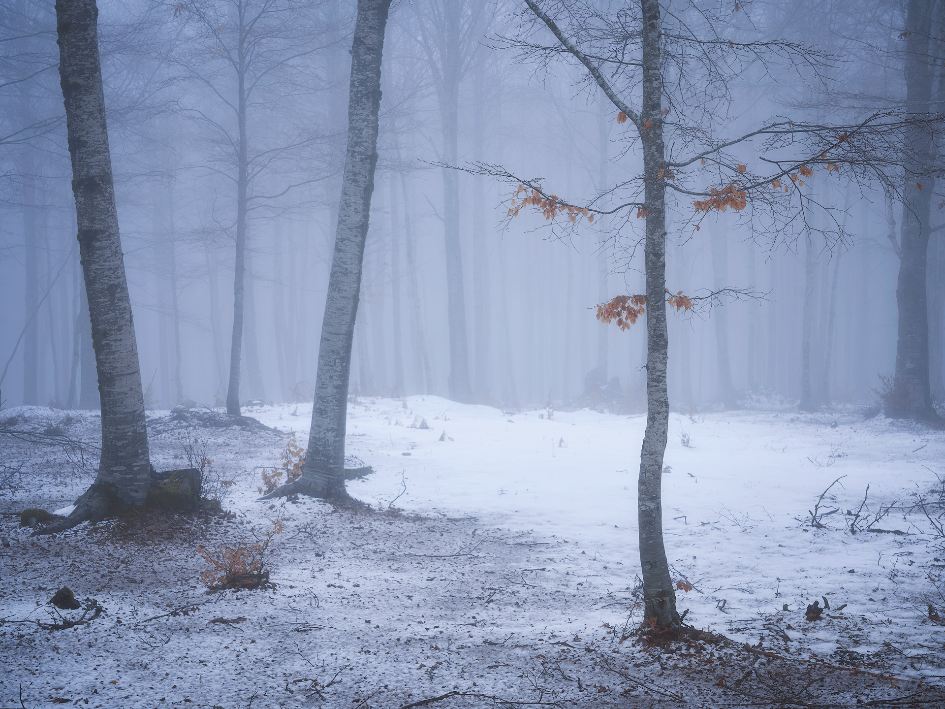 Surviving the inner demons