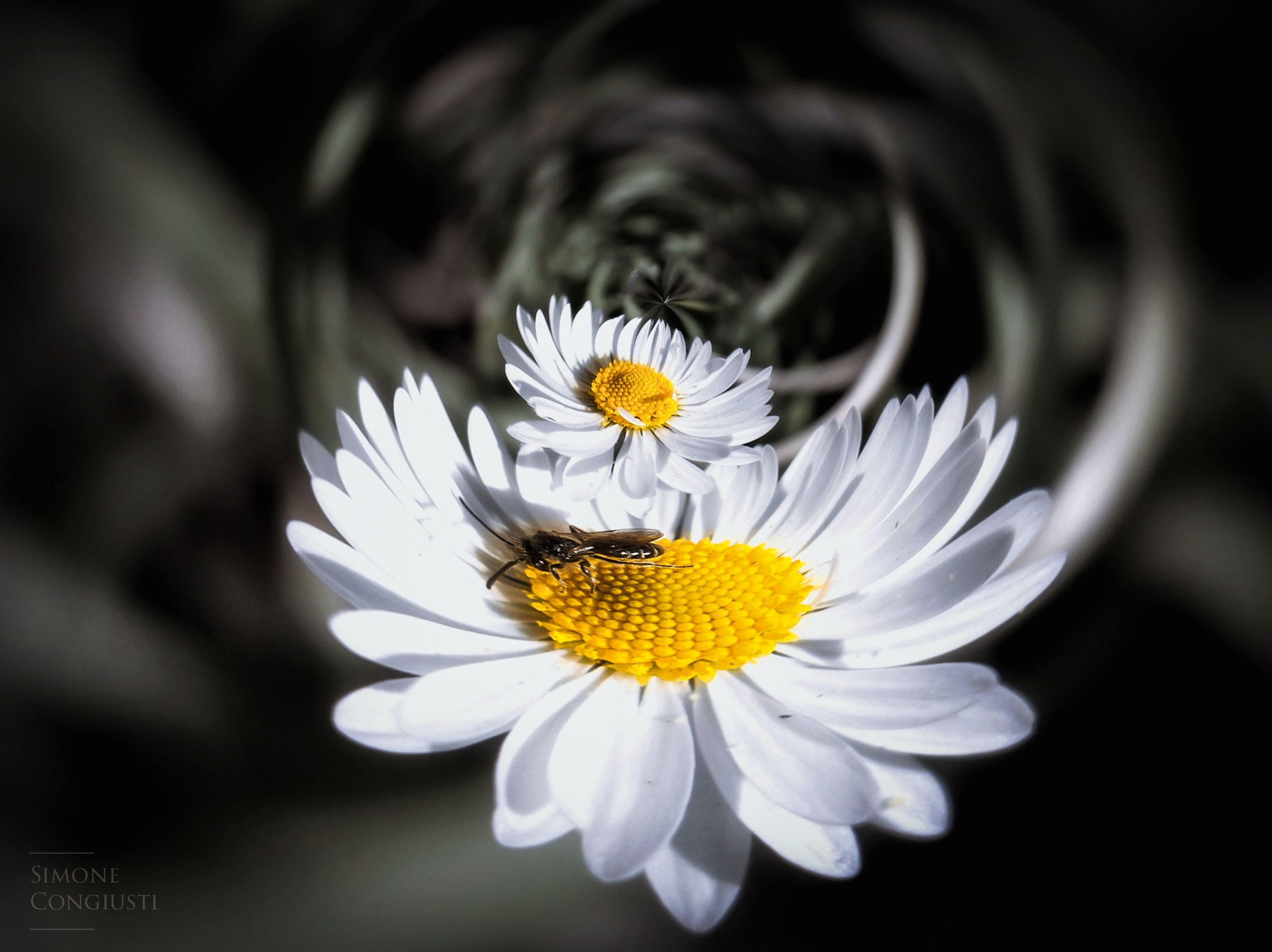 Untitled Photo