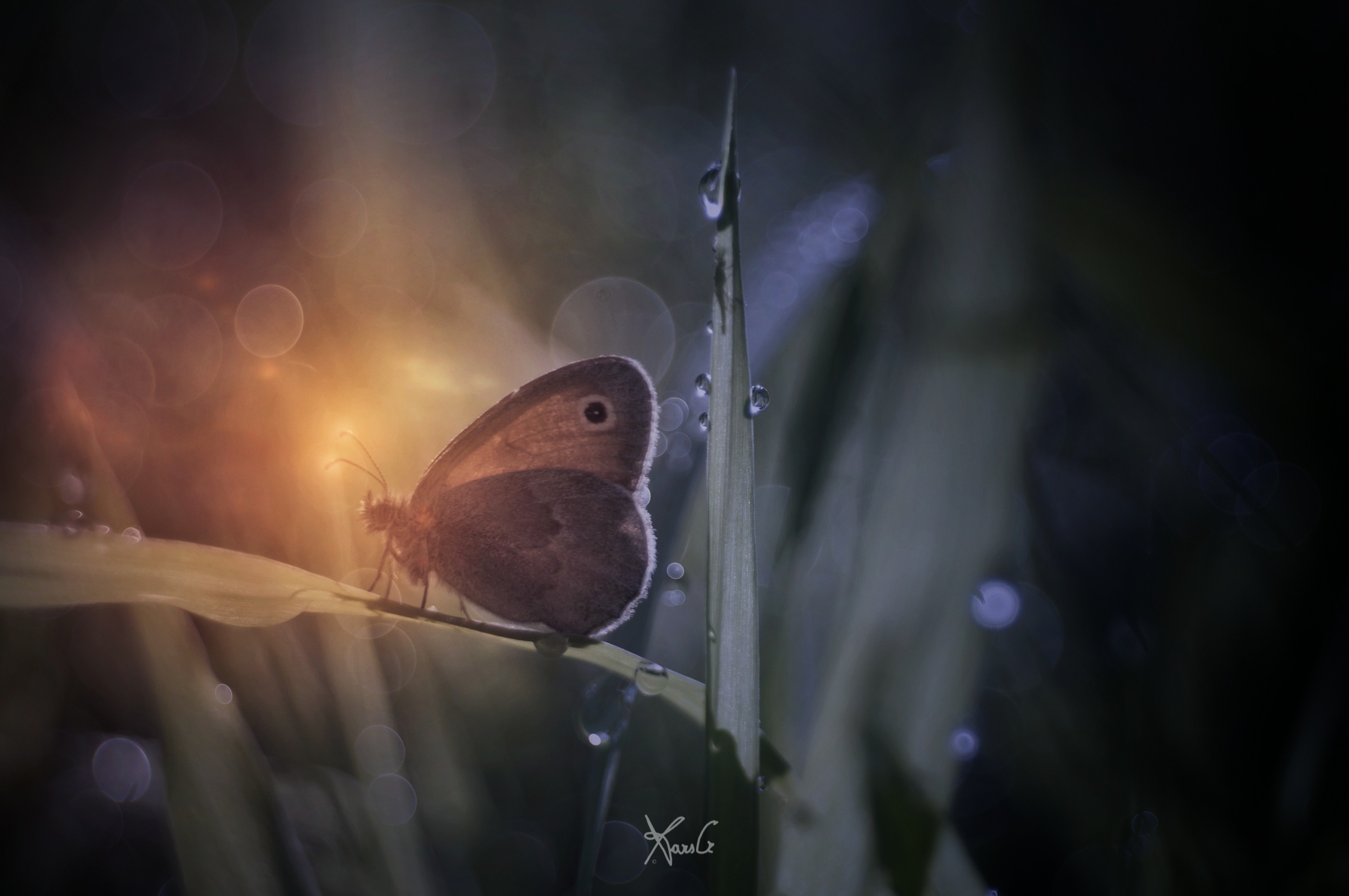 Fabbricante di sogni