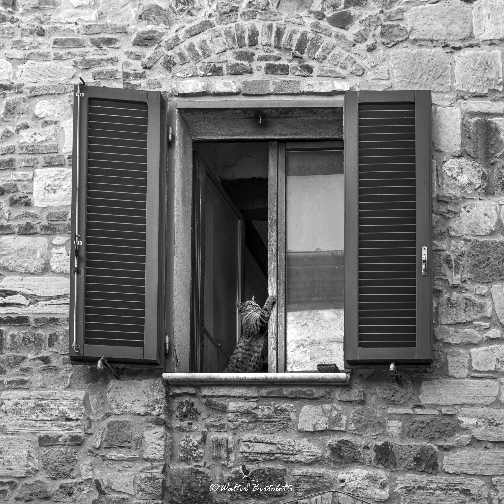 anche lui è stufo di stare in casa