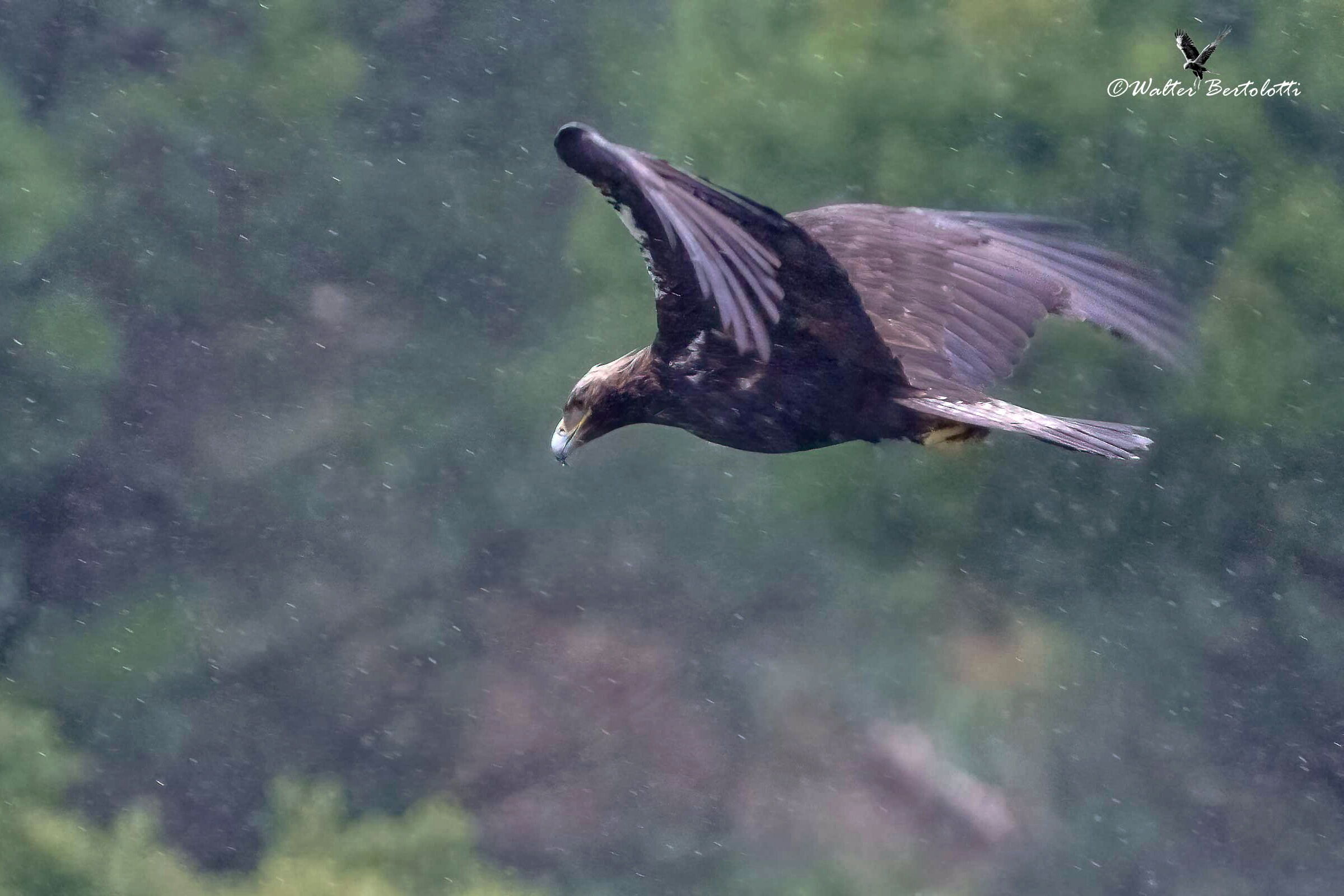in volo nella tempesta