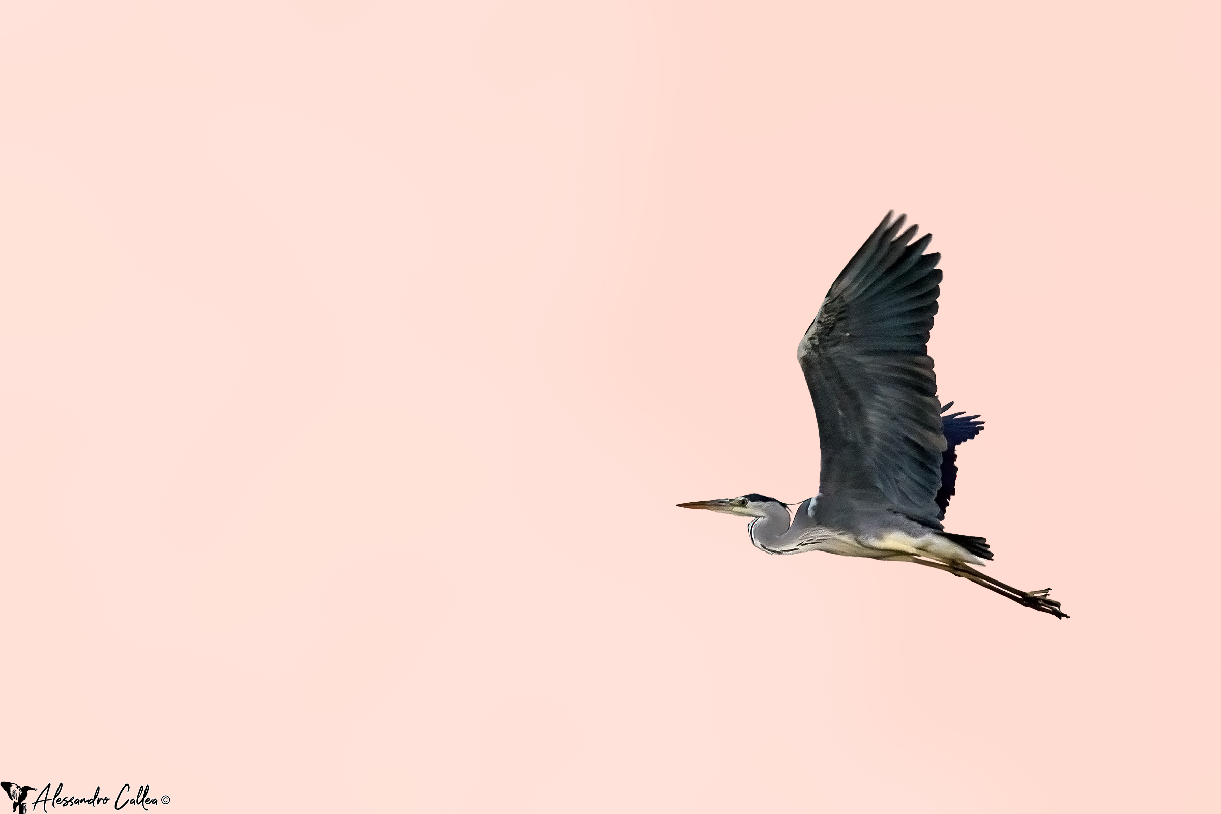 Ancor prima dell'alba...