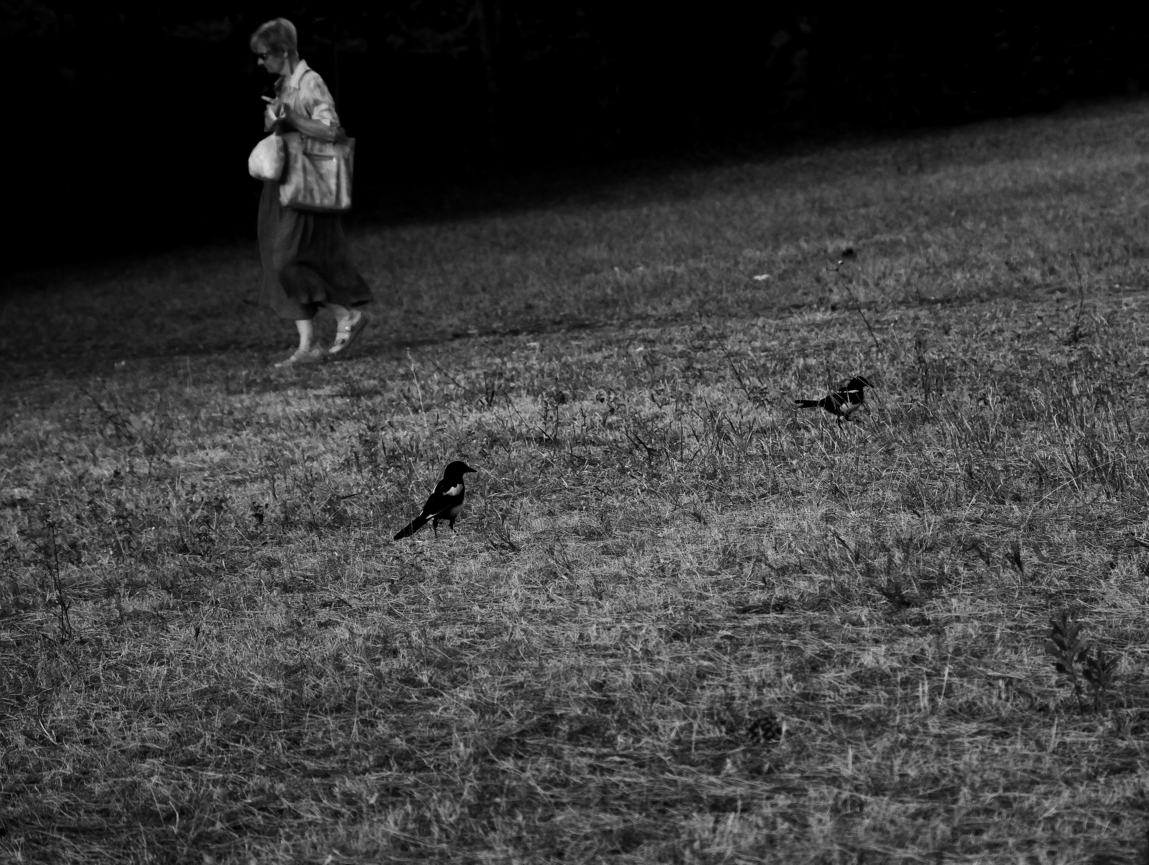 Siamo scintille che fendono l'oscurità