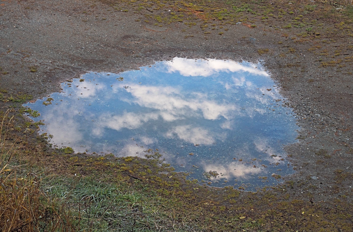 il cielo in una pozza