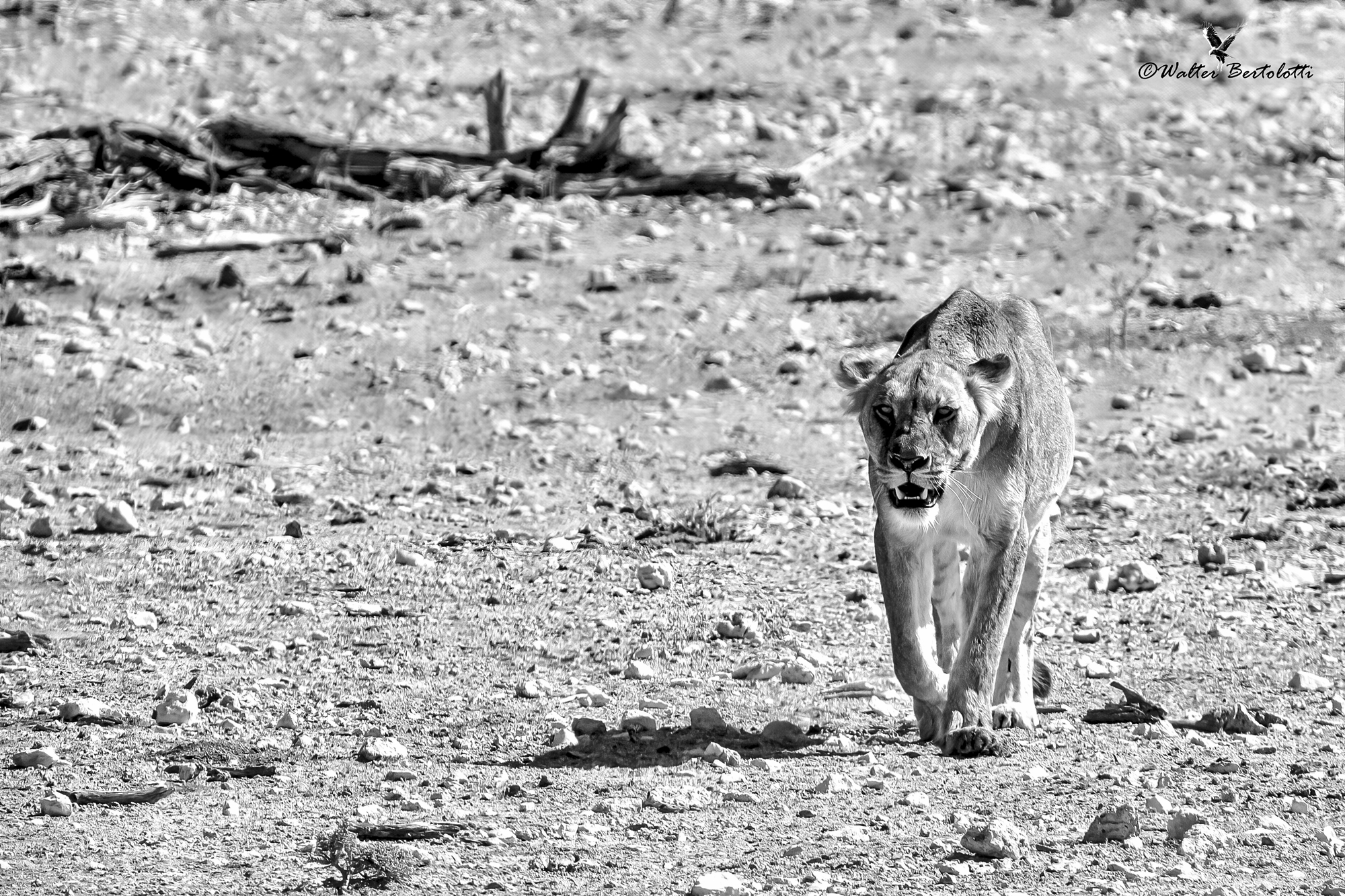 I don't look at you, quiet