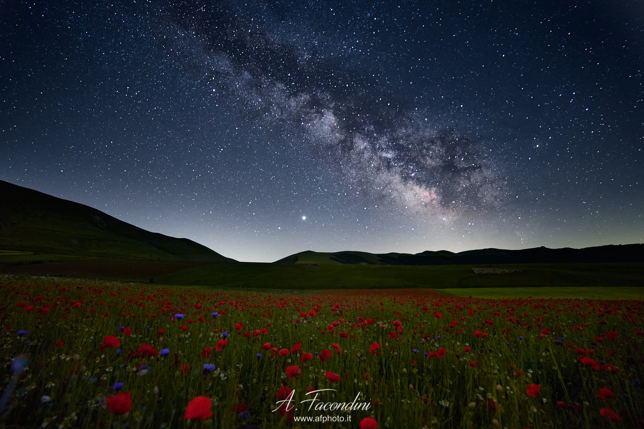 Galaxy over flowers