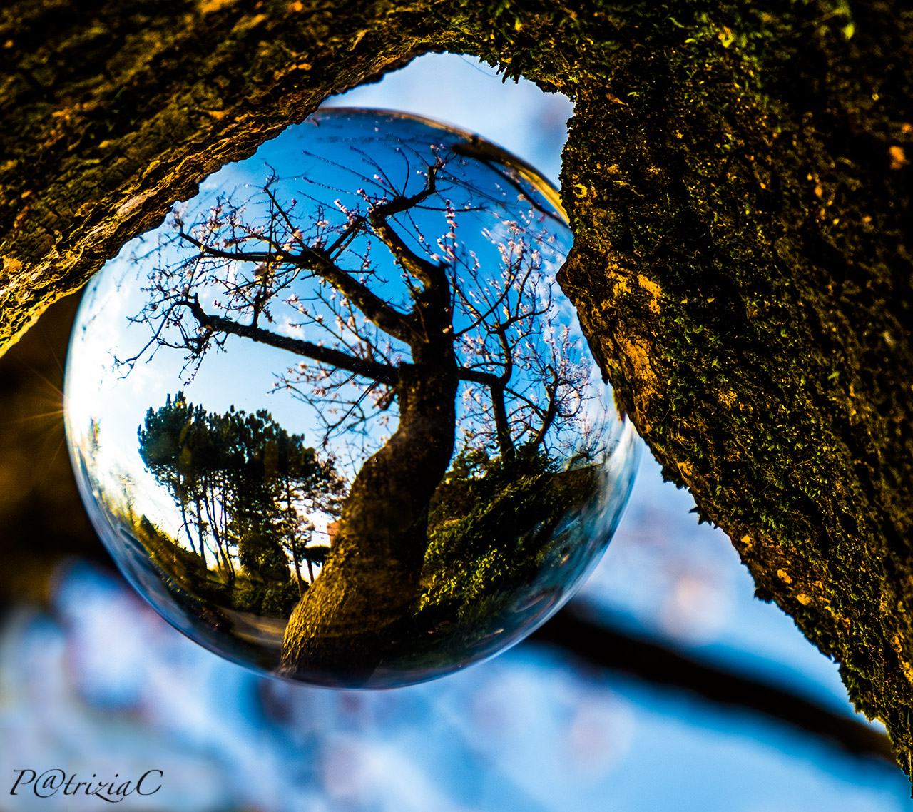 __bubblepassion__(1)