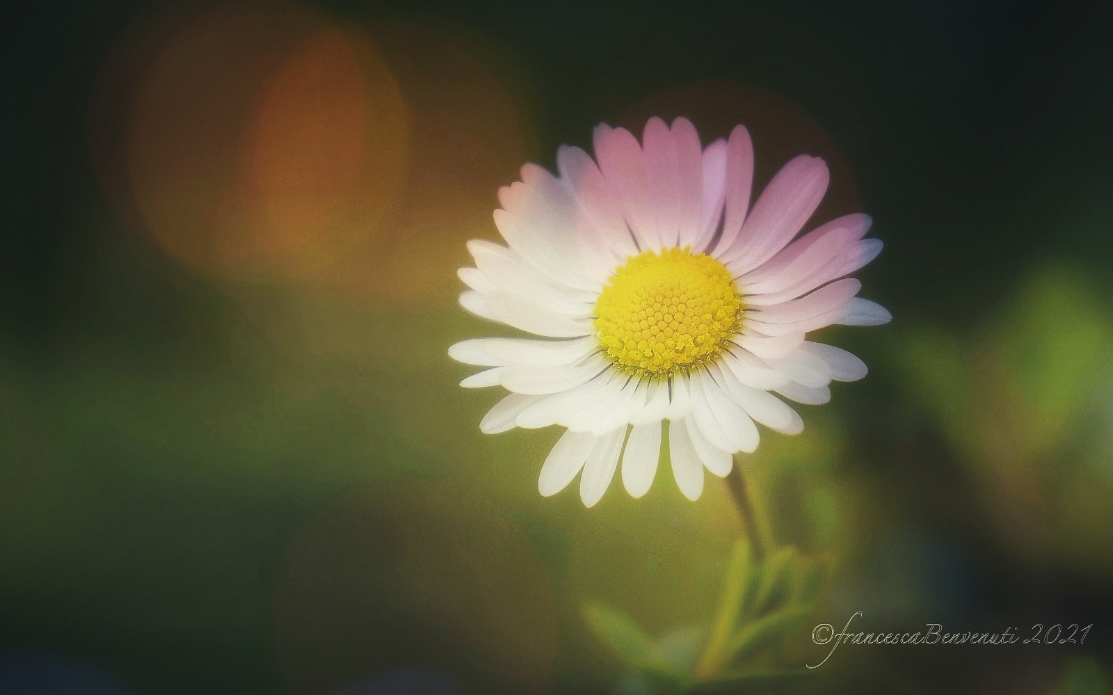 My Emotions- Magic Moment