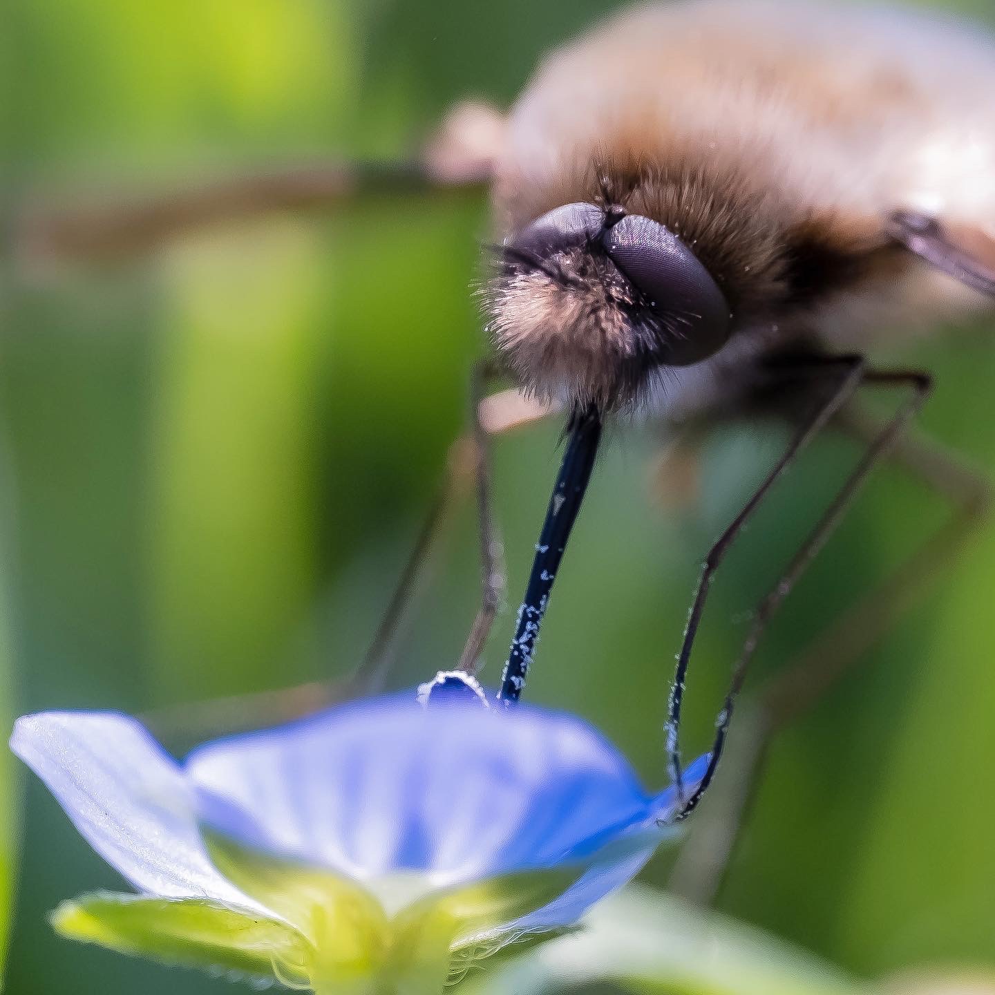 Macro-work