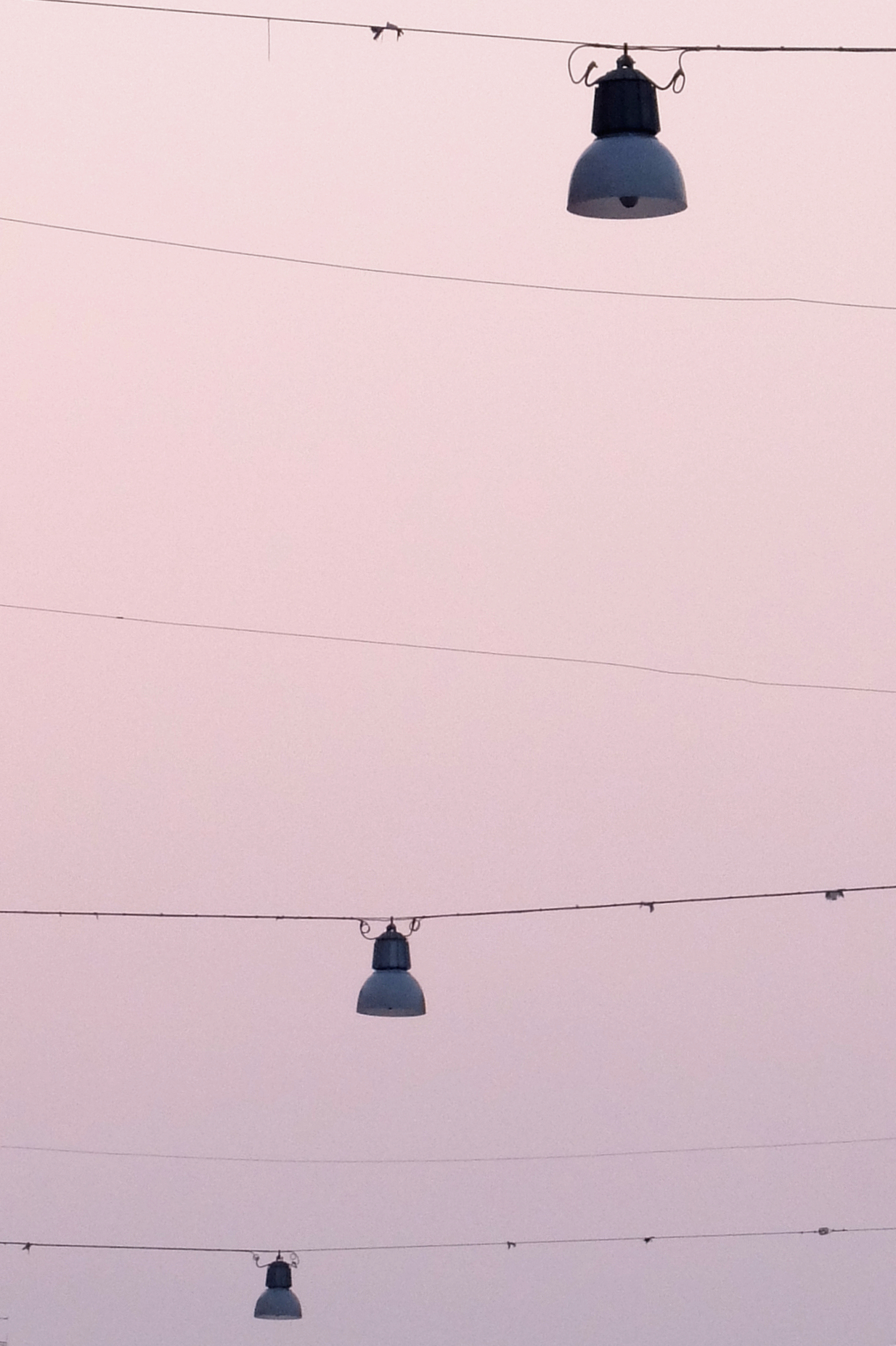 La regola dei diciassei