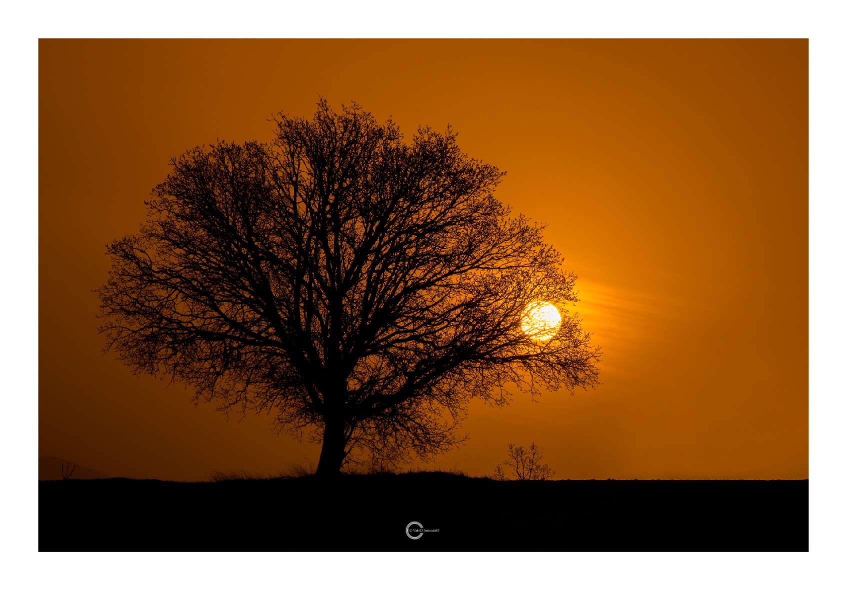 Sole alle 6 del mattino.M.