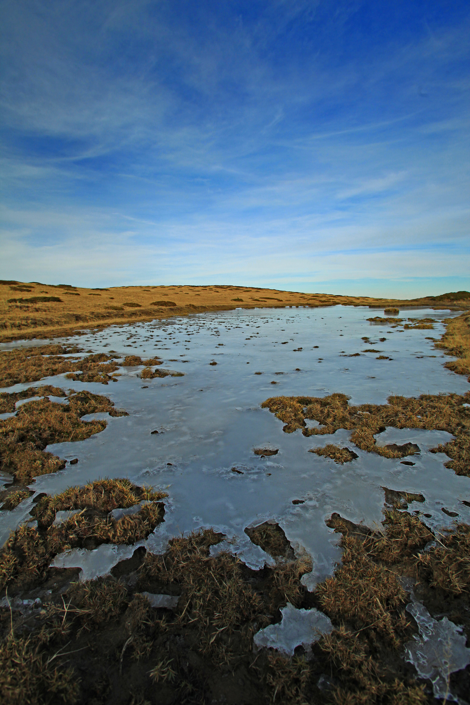 Nella morsa del gelo