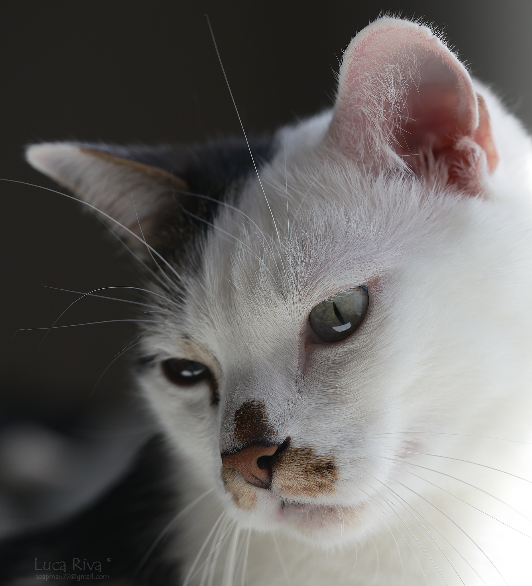 Problems are not my problem... (.. Sorco)