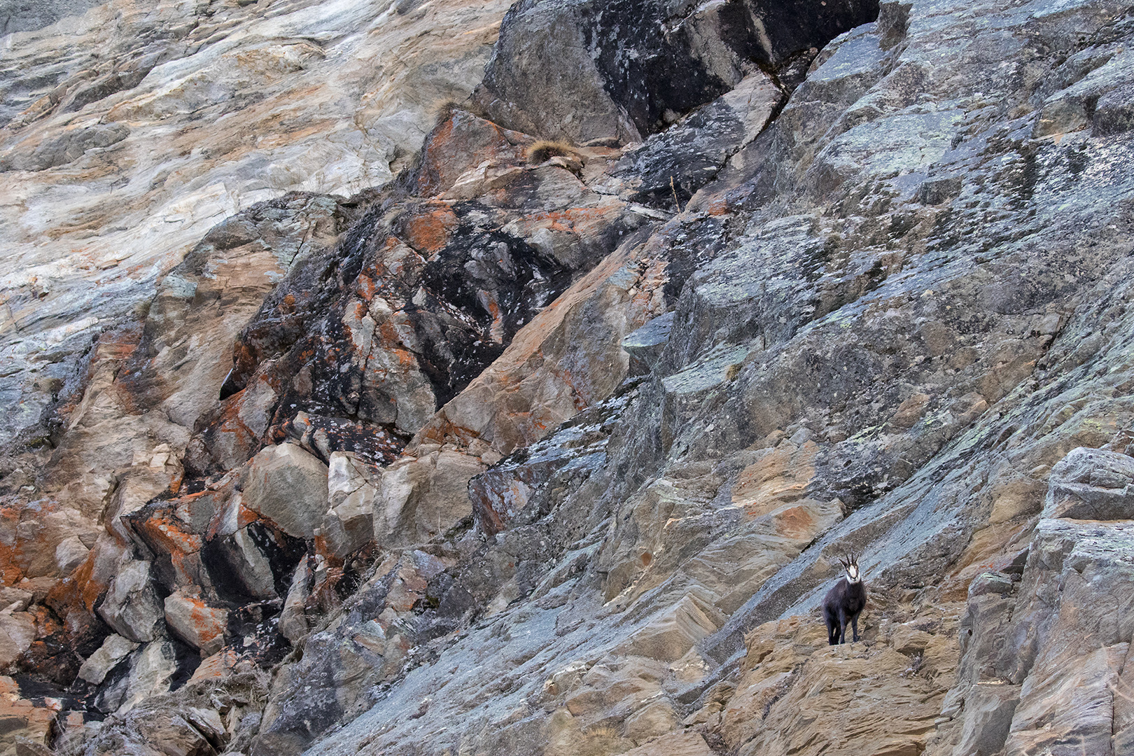 the colors of the rocks