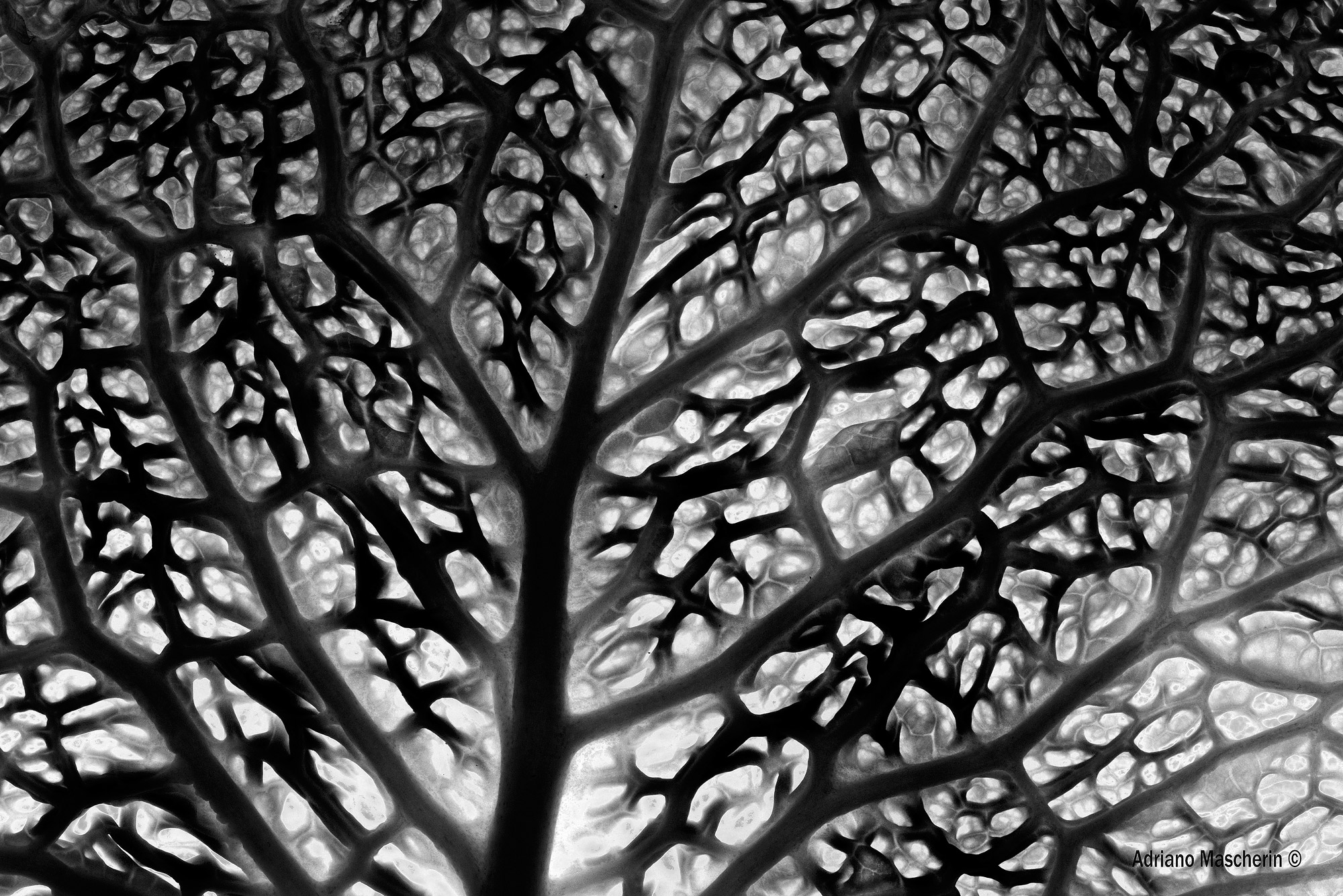 Grafie inquetanti...