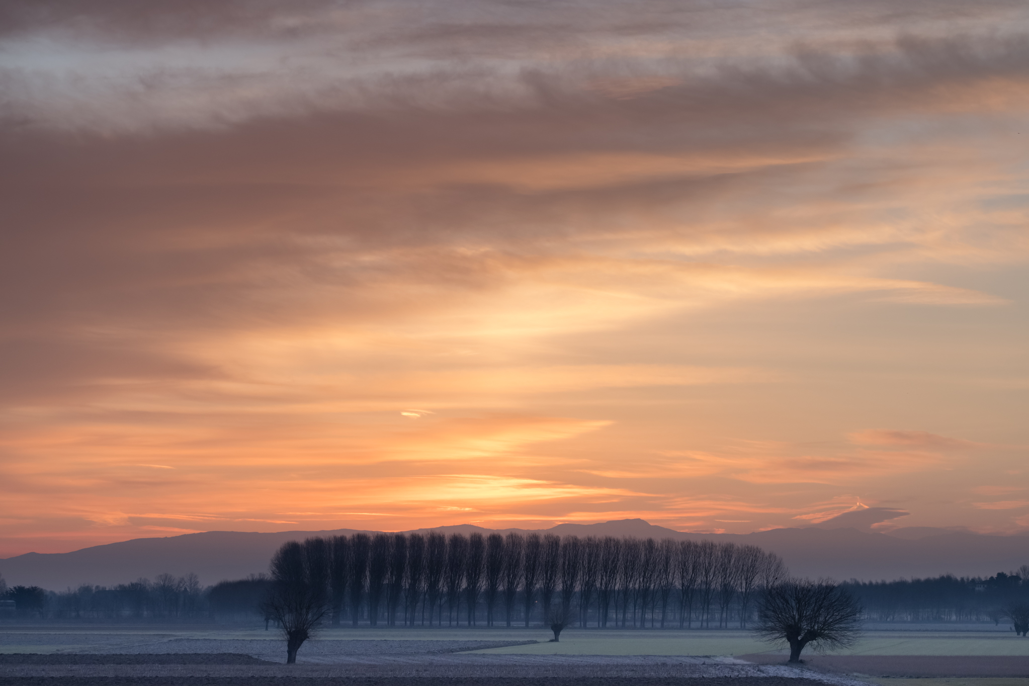 Sunrise