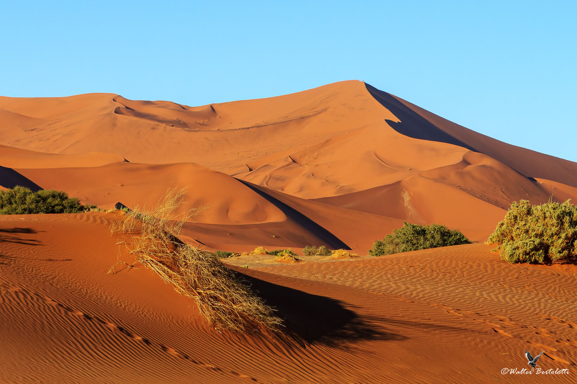 il Namib