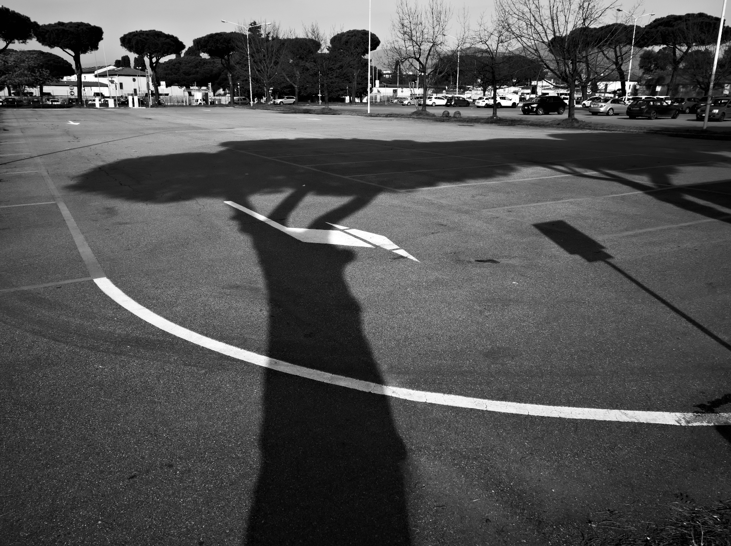 Shadows