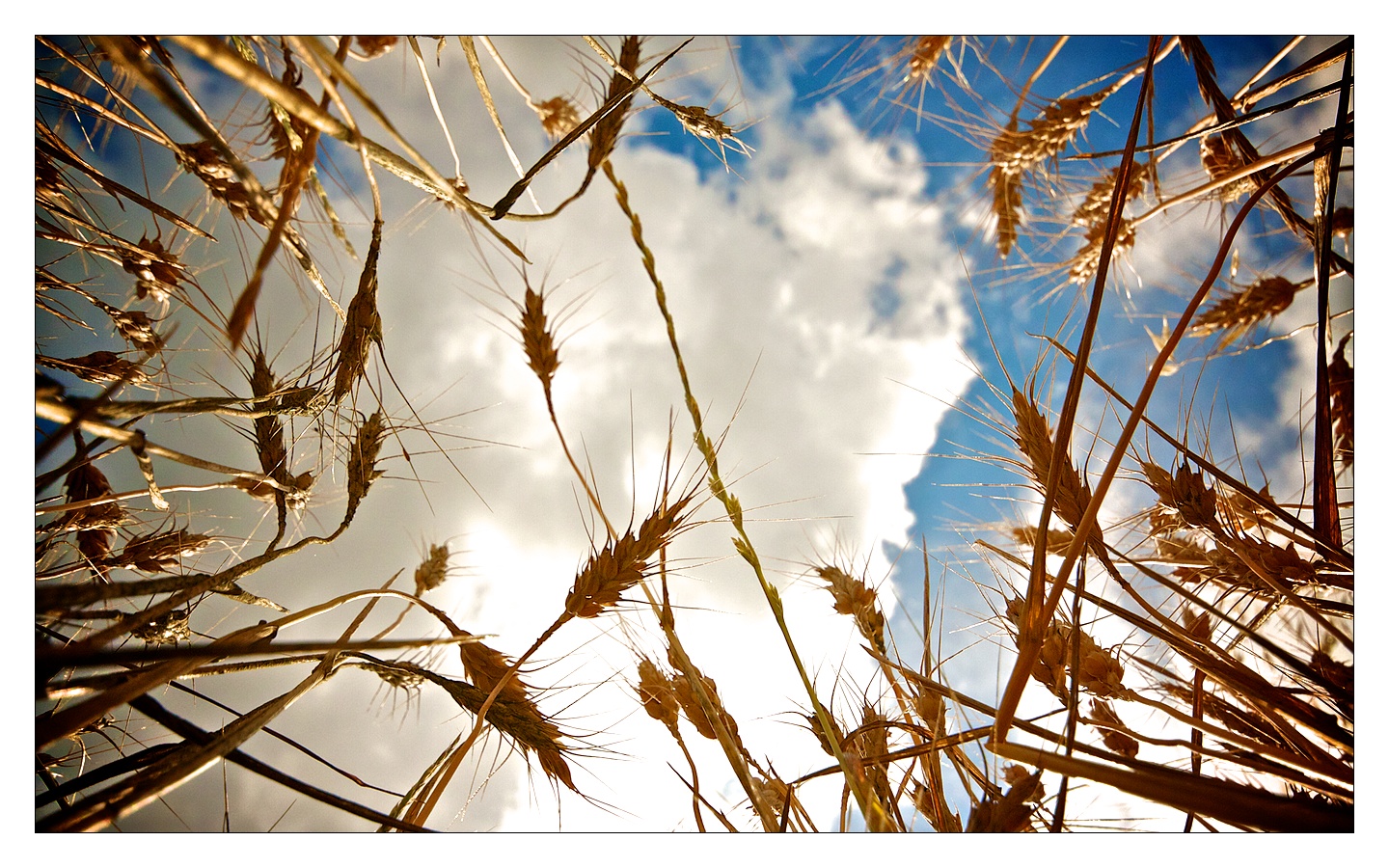 With the nose to 'upward