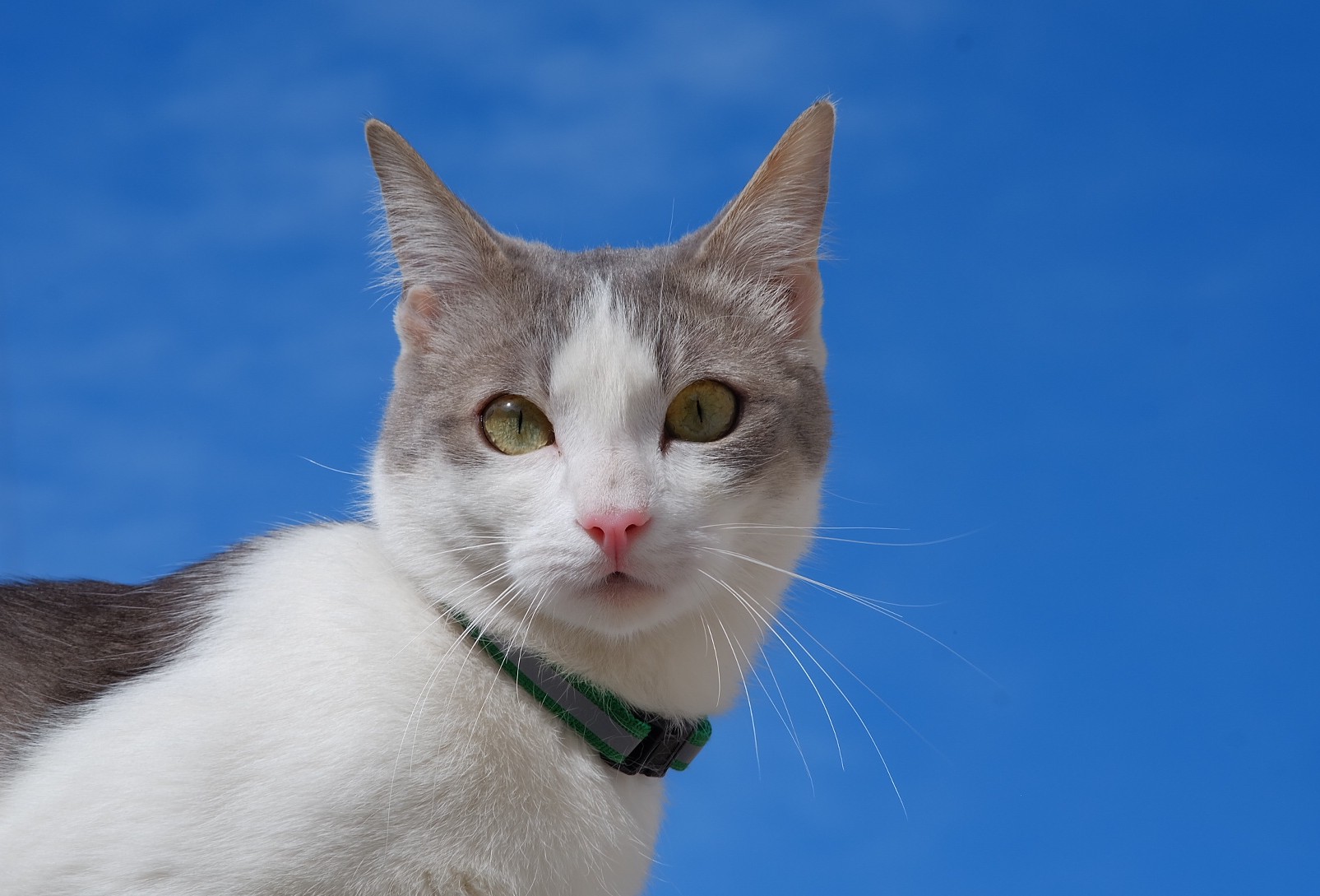 Sempre più in alto!