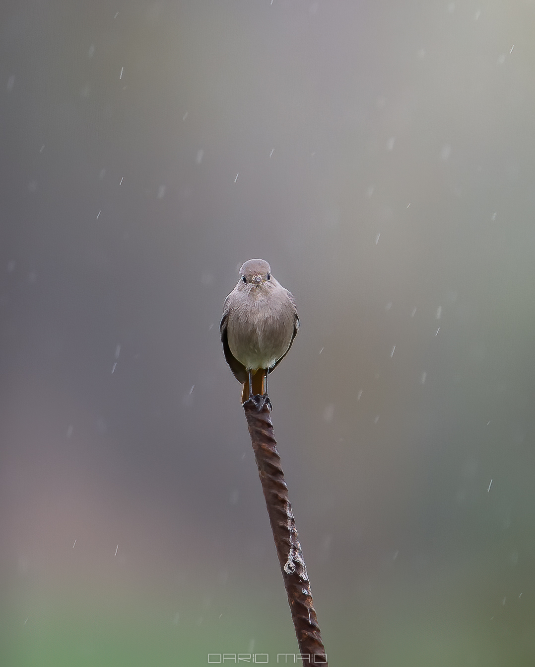 In una giornata uggiosa.