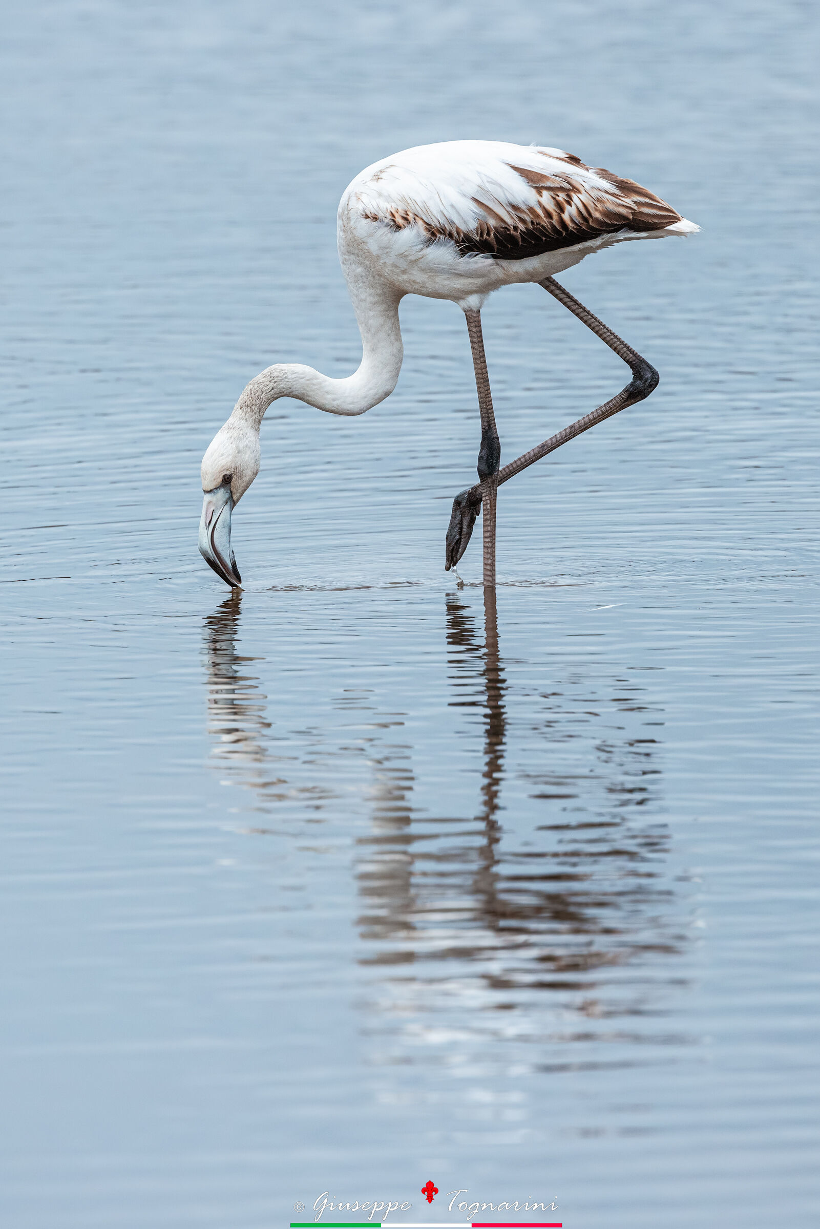Passeggiata in acqua