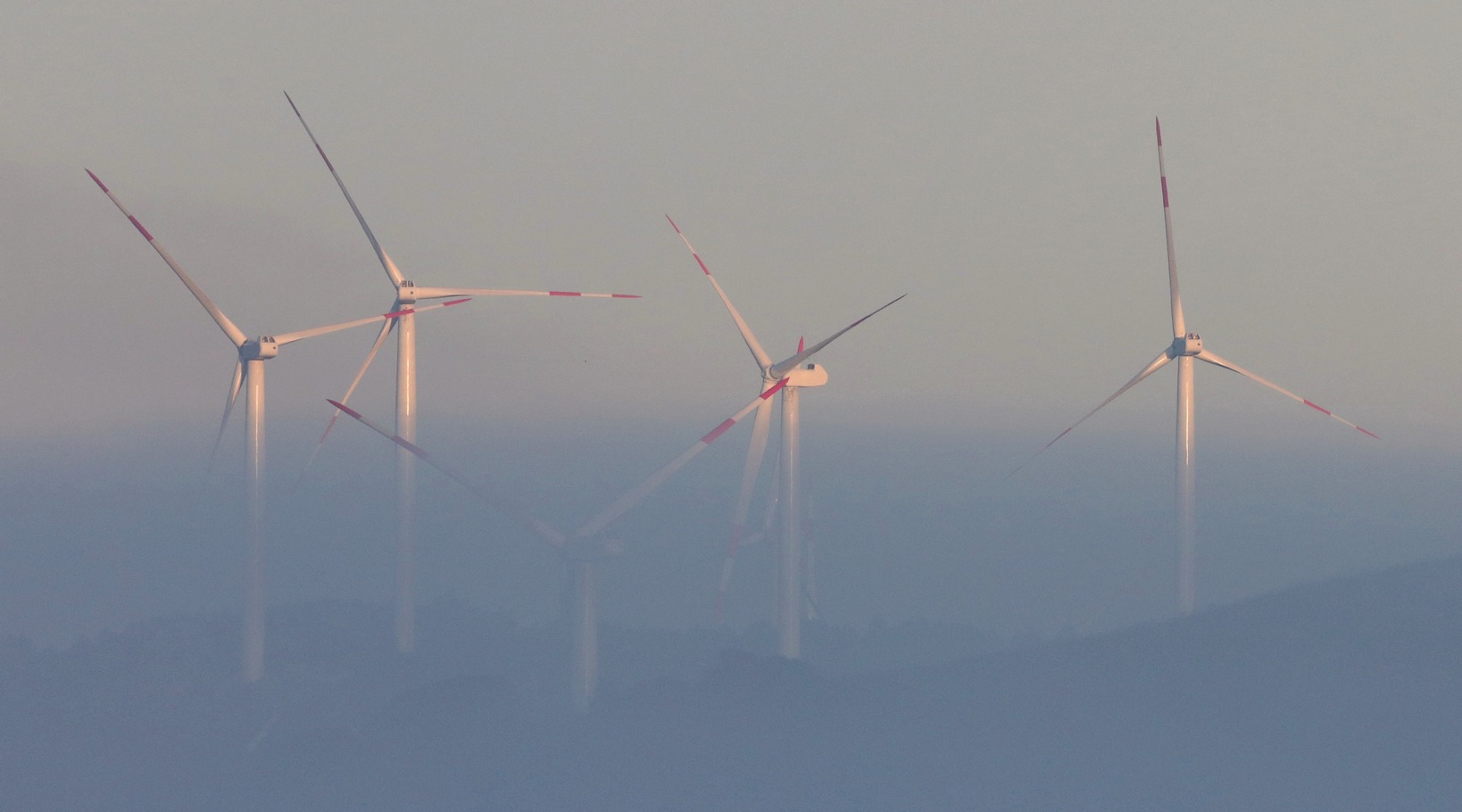 Avvolte dalla nebbia