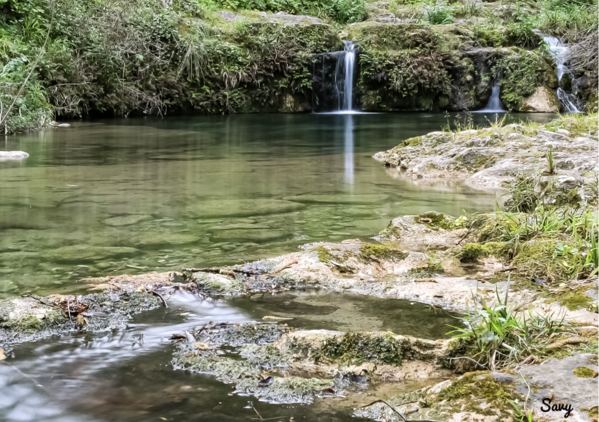 Immerso nella natura