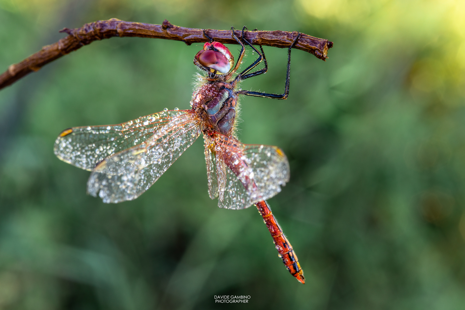Untitled Photo