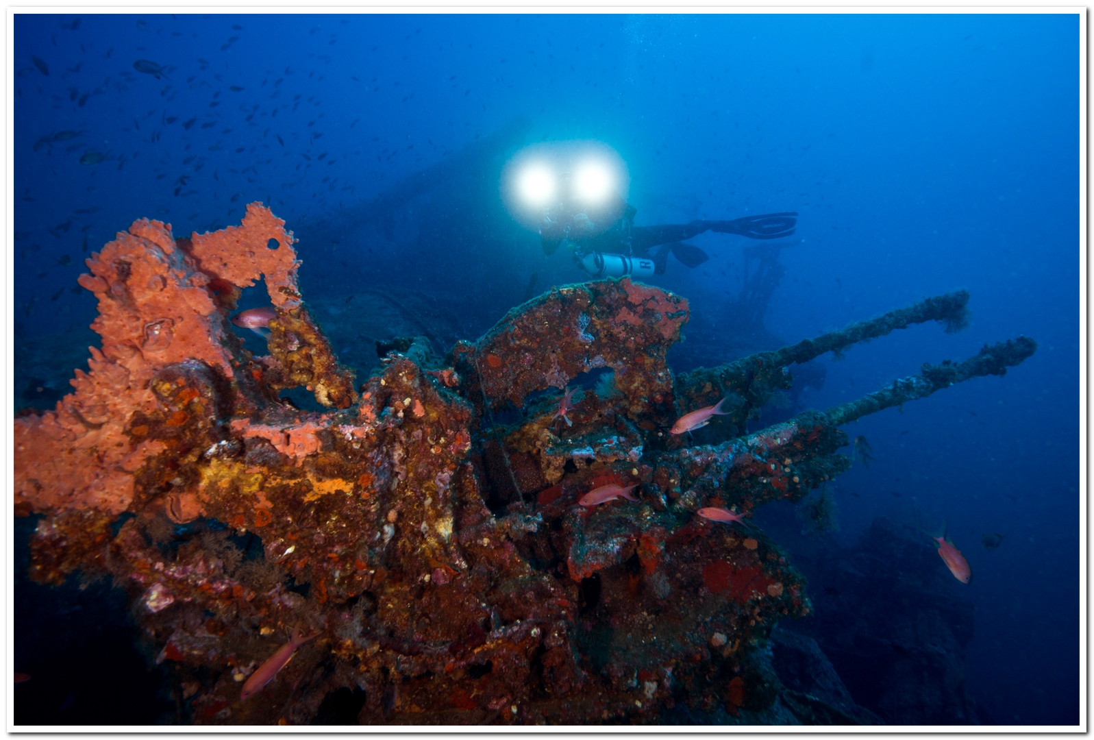 gazzella la nave sfortunata