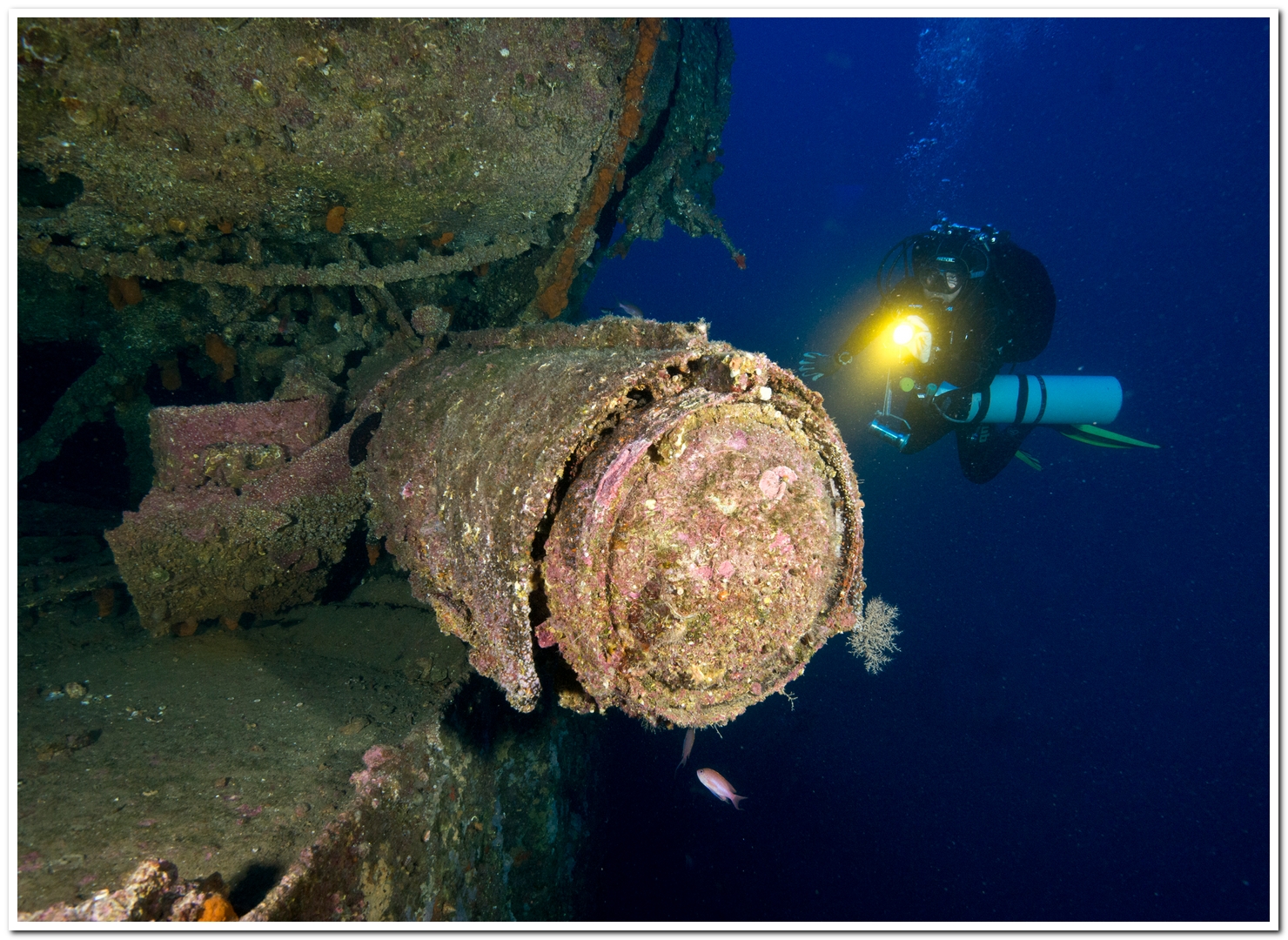 gazzella la nave sfortunata