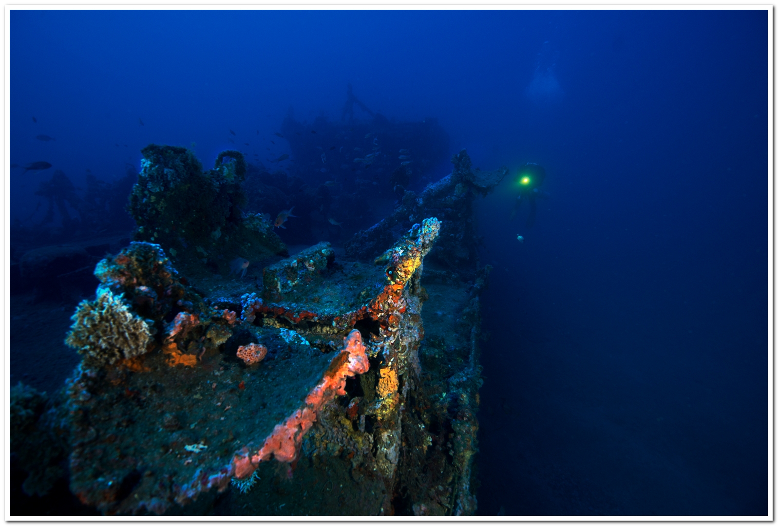 gazzella la nave sfortunata