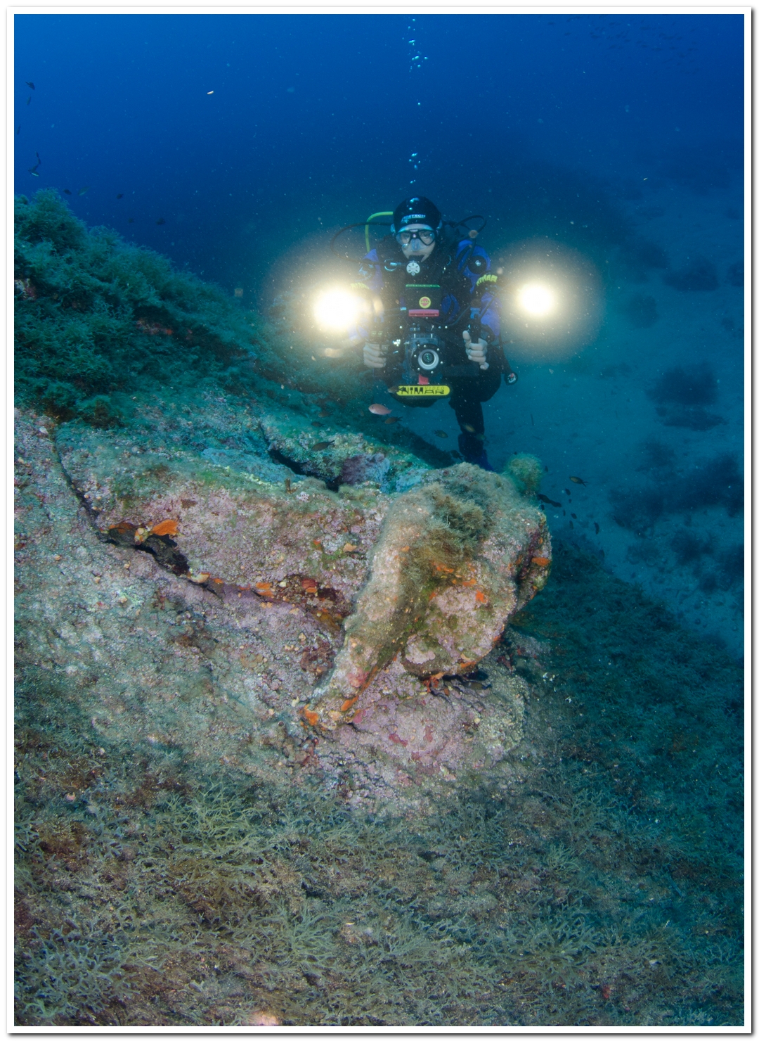 Nasello preda del Safari